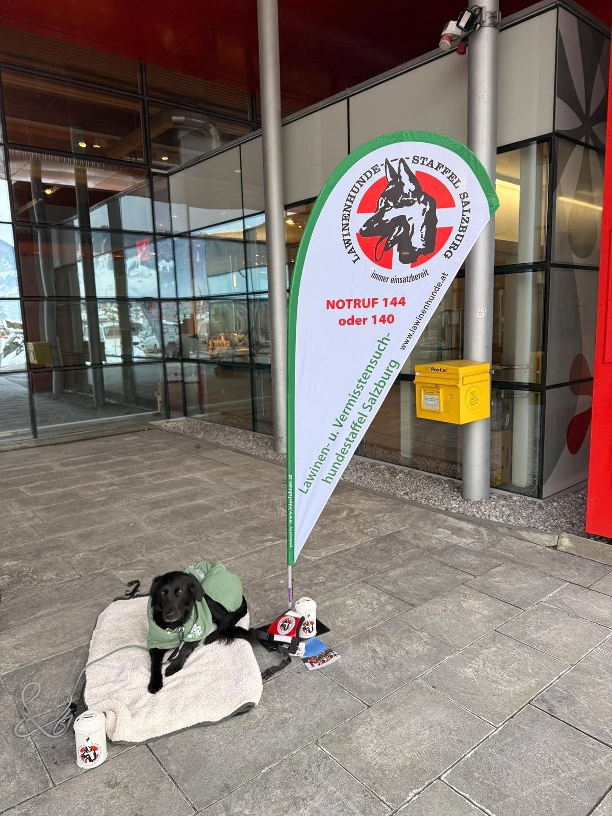 WhatsApp Image 2025-11-29 at 09.26.53.jpeg