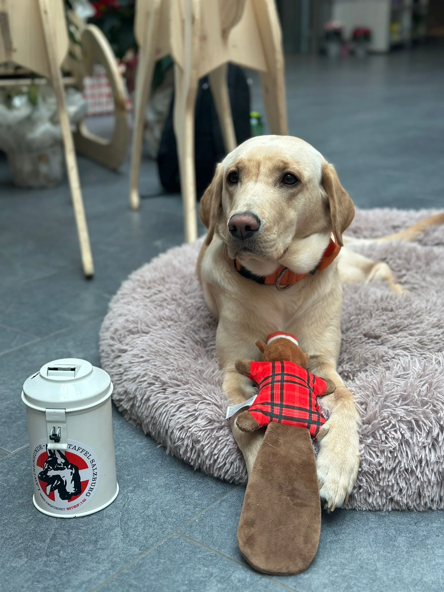 WhatsApp Image 2025-11-29 at 12.09.36.jpeg