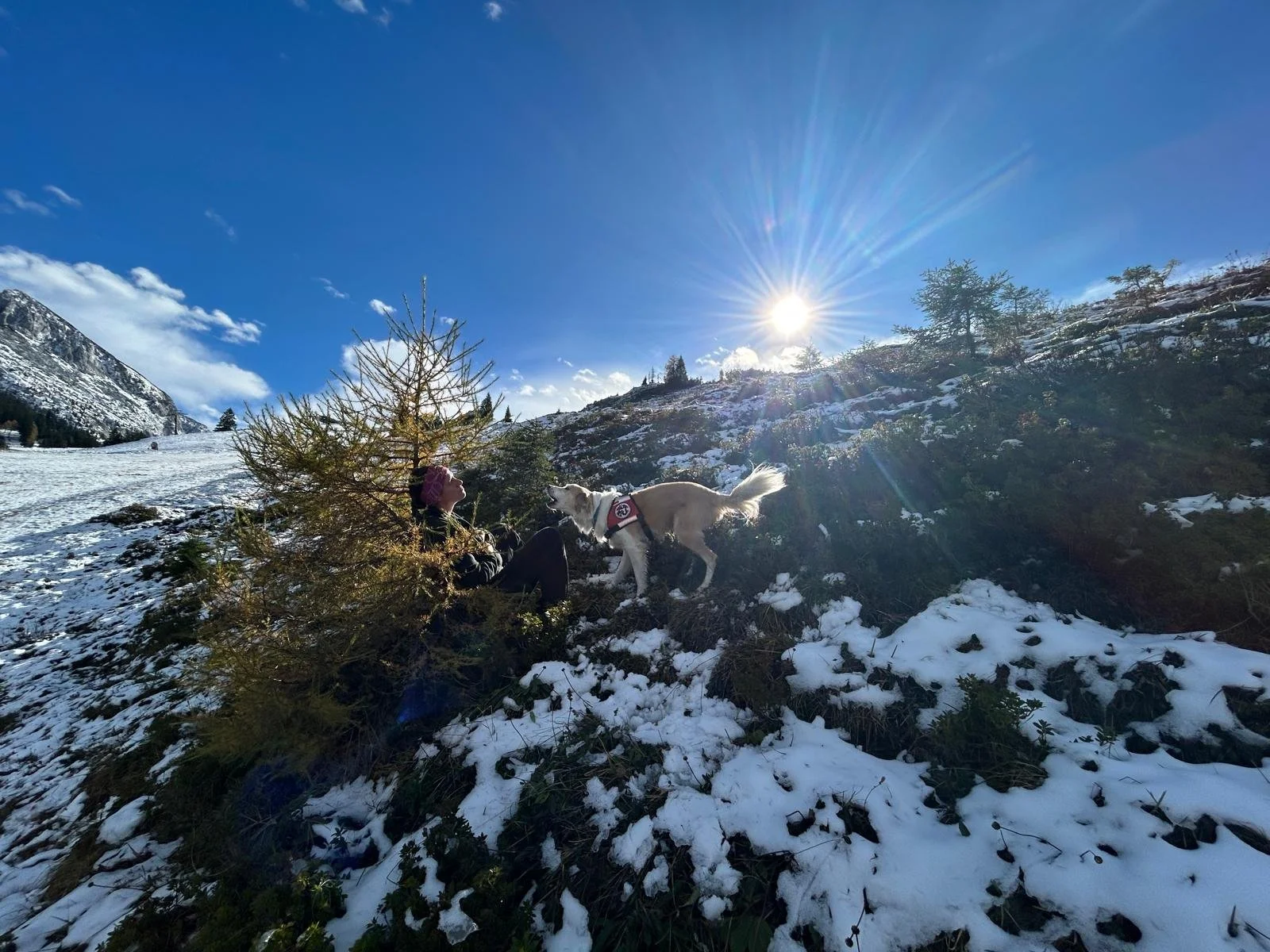 WhatsApp Image 2025-10-25 at 15.00.01.jpeg