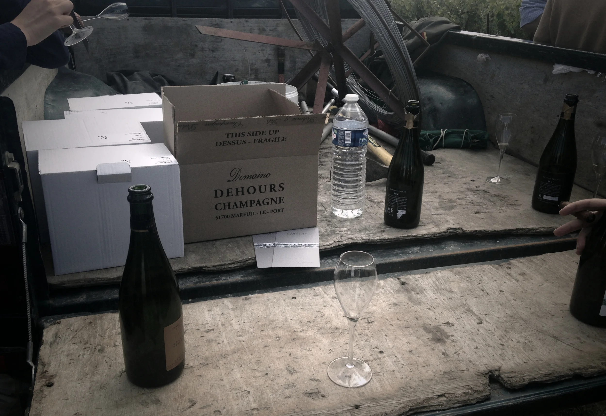 Casual Champagne Gathering 