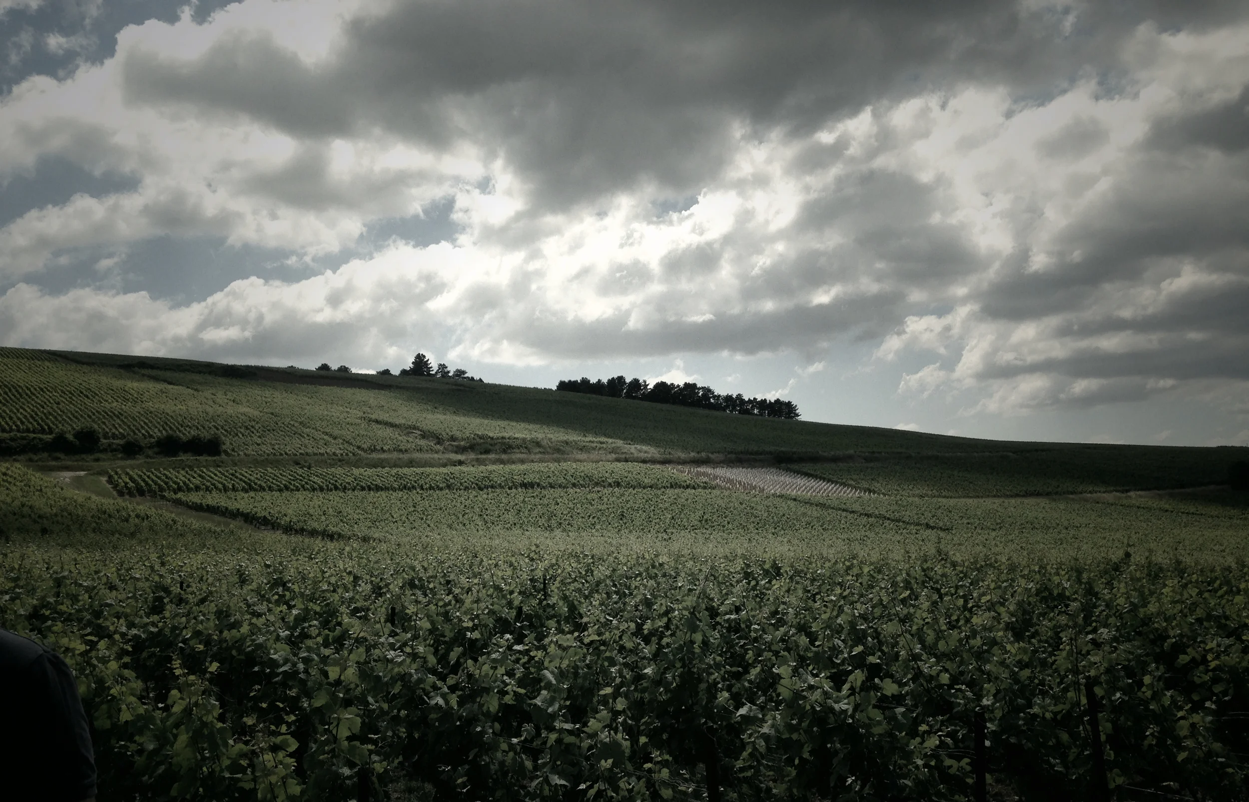 Not that small: Domaine Dehours