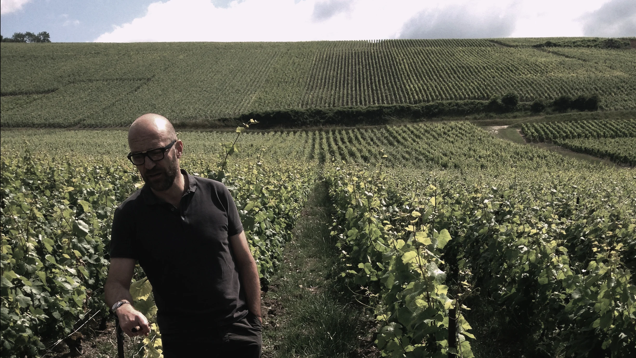 Our winemaker: Jérôme Dehours 