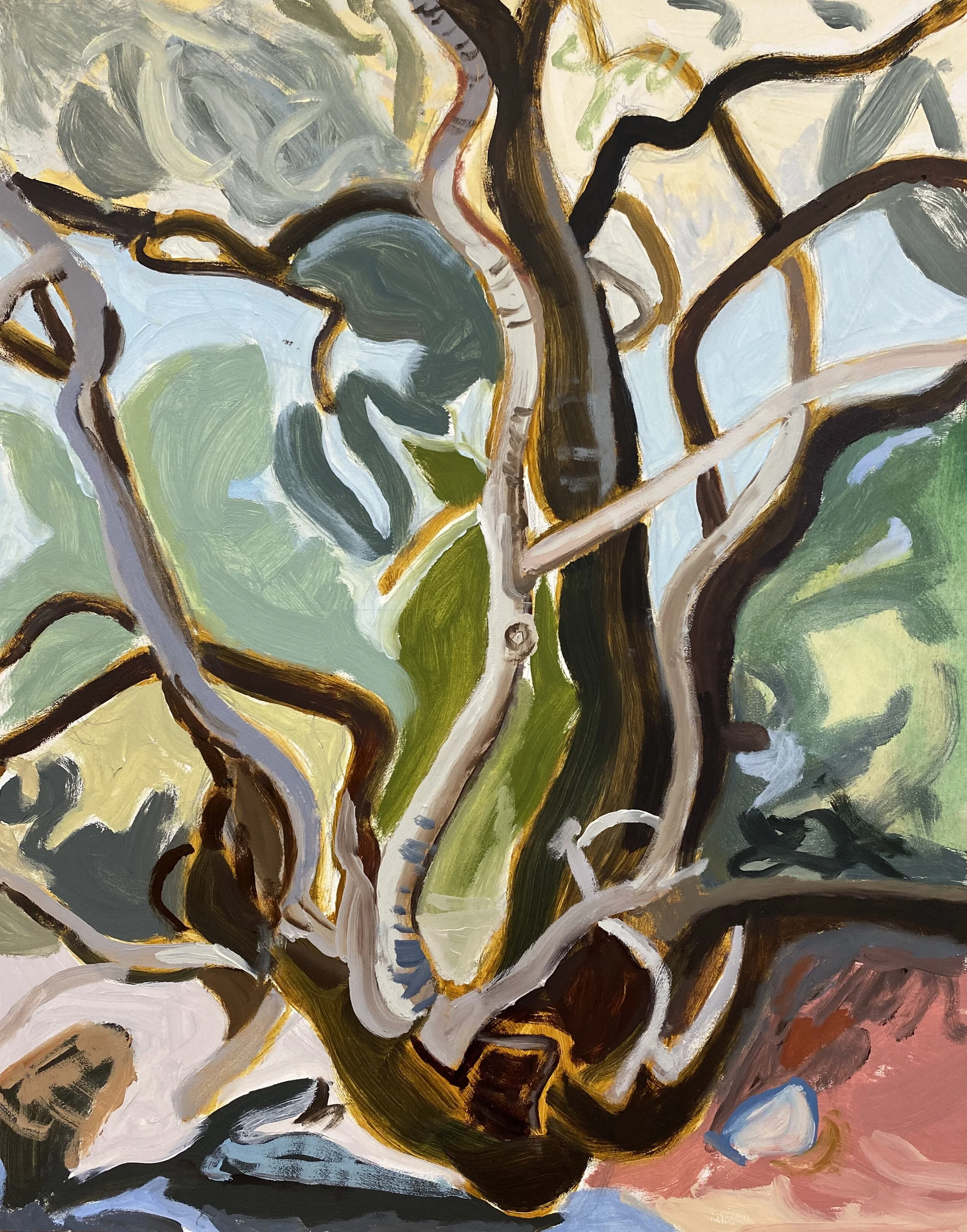 Bitter Condalia, Oil on Board, 11" x 14", 2020