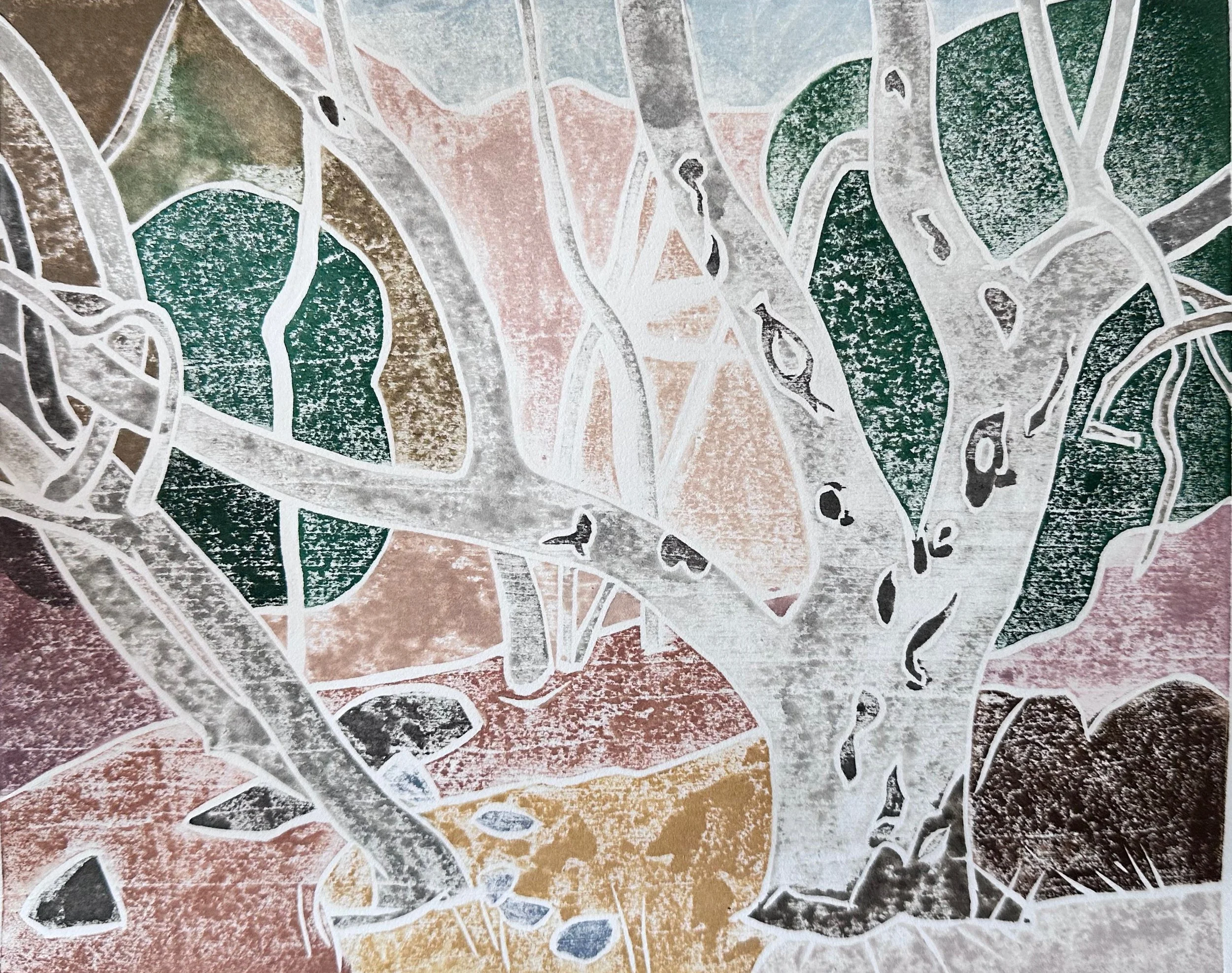 Madera Canyon Sycamores 2023