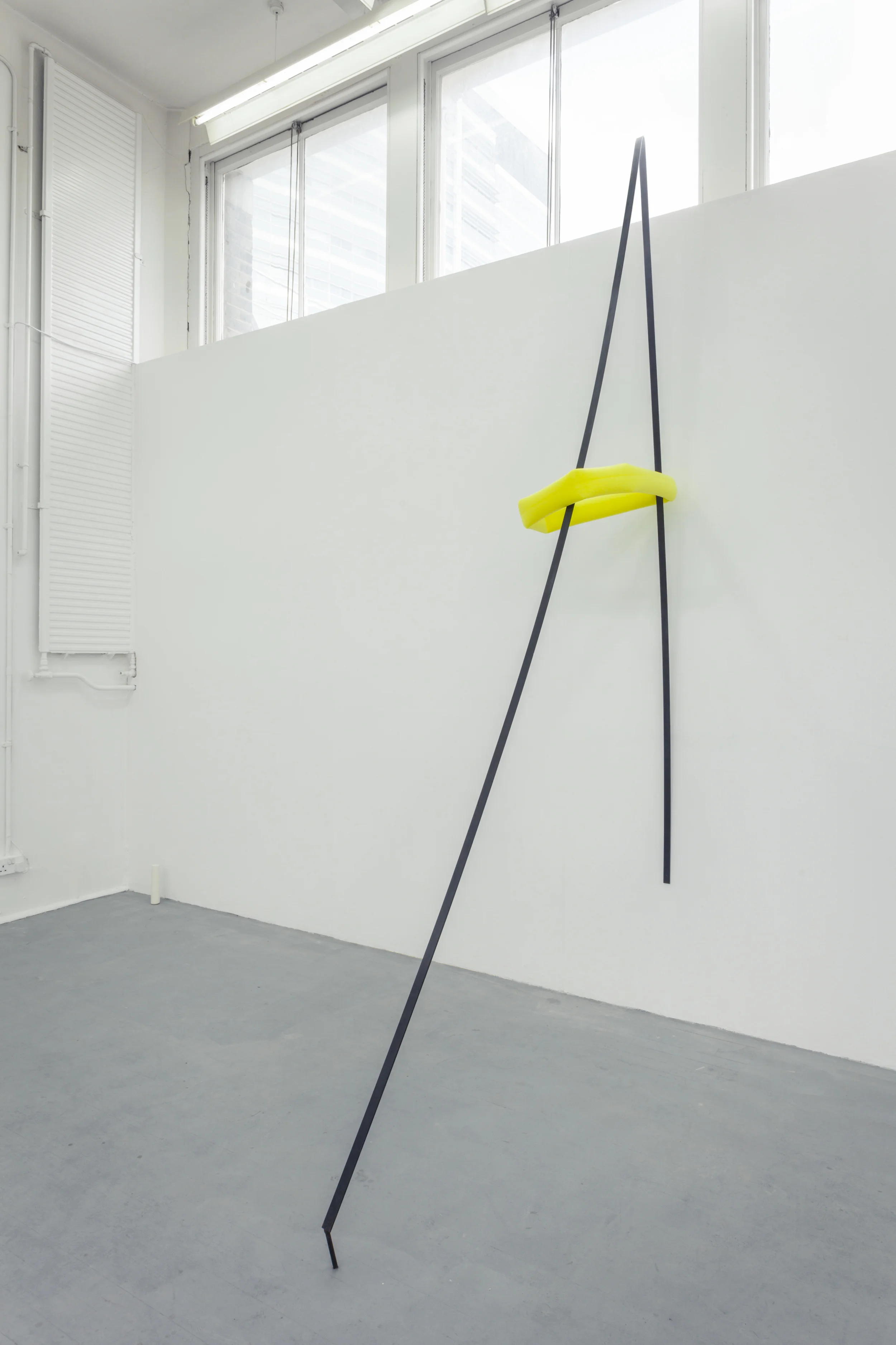 Allegros and armbands, 2016