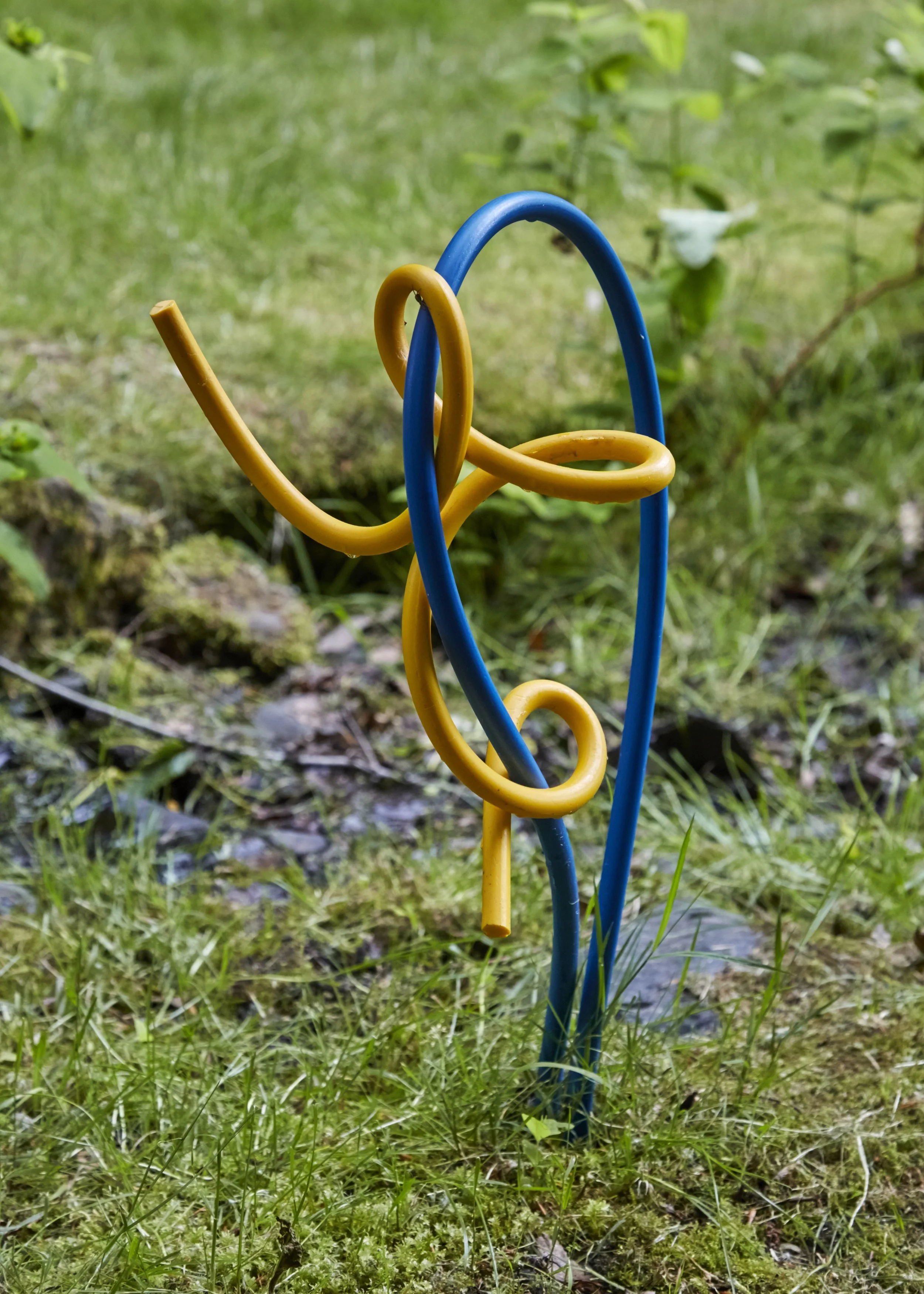 Grasp, 2019
