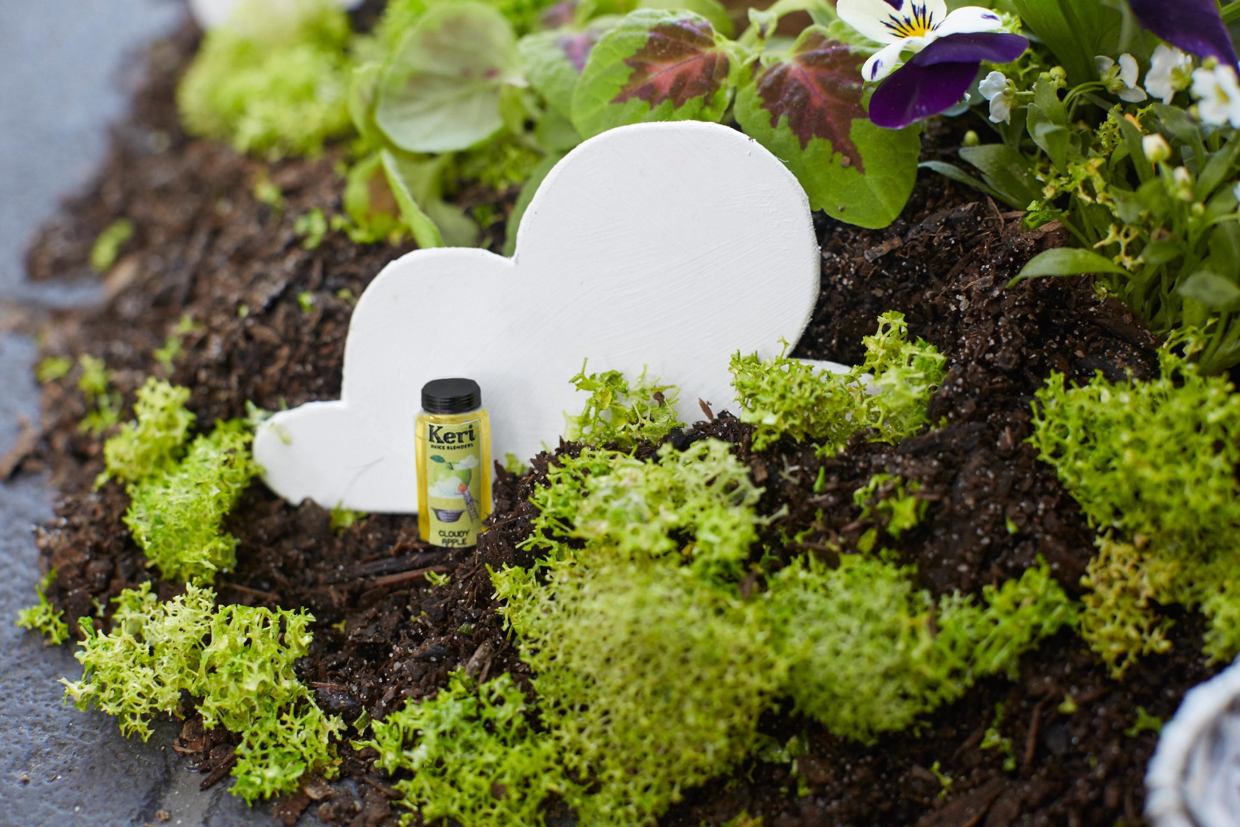 The_Pothole_Gardener_02 17.jpg
