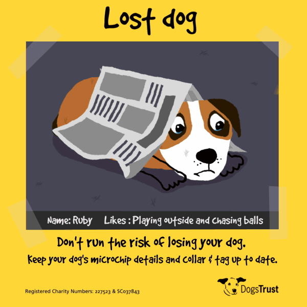 Dogs Trust campaign