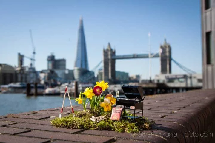 The Pothole Gardener: Bringing happiness to the world through creativity