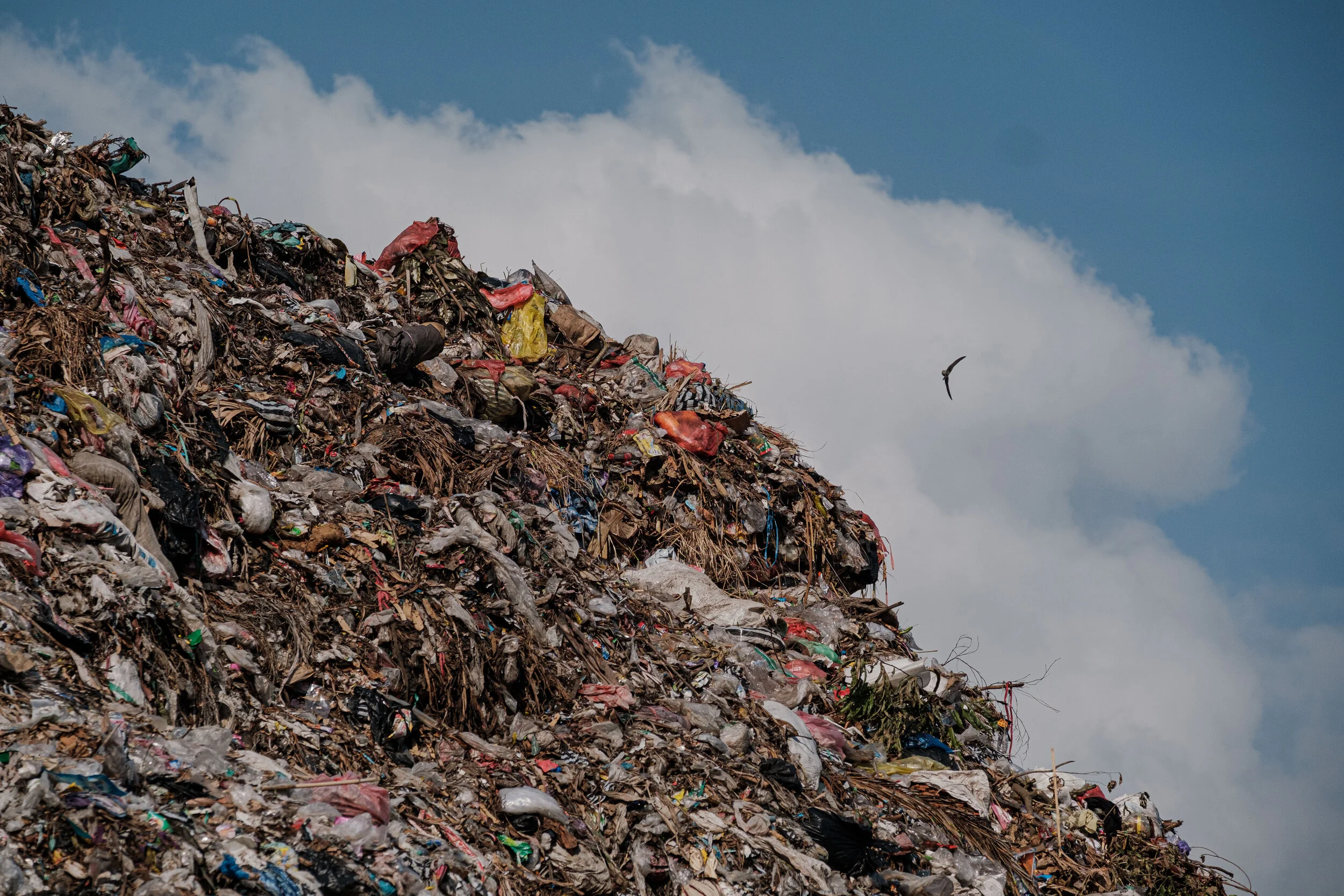 Alliance to End Plastic Waste video project: Inspiring organizations around the world to reduce plastic waste 