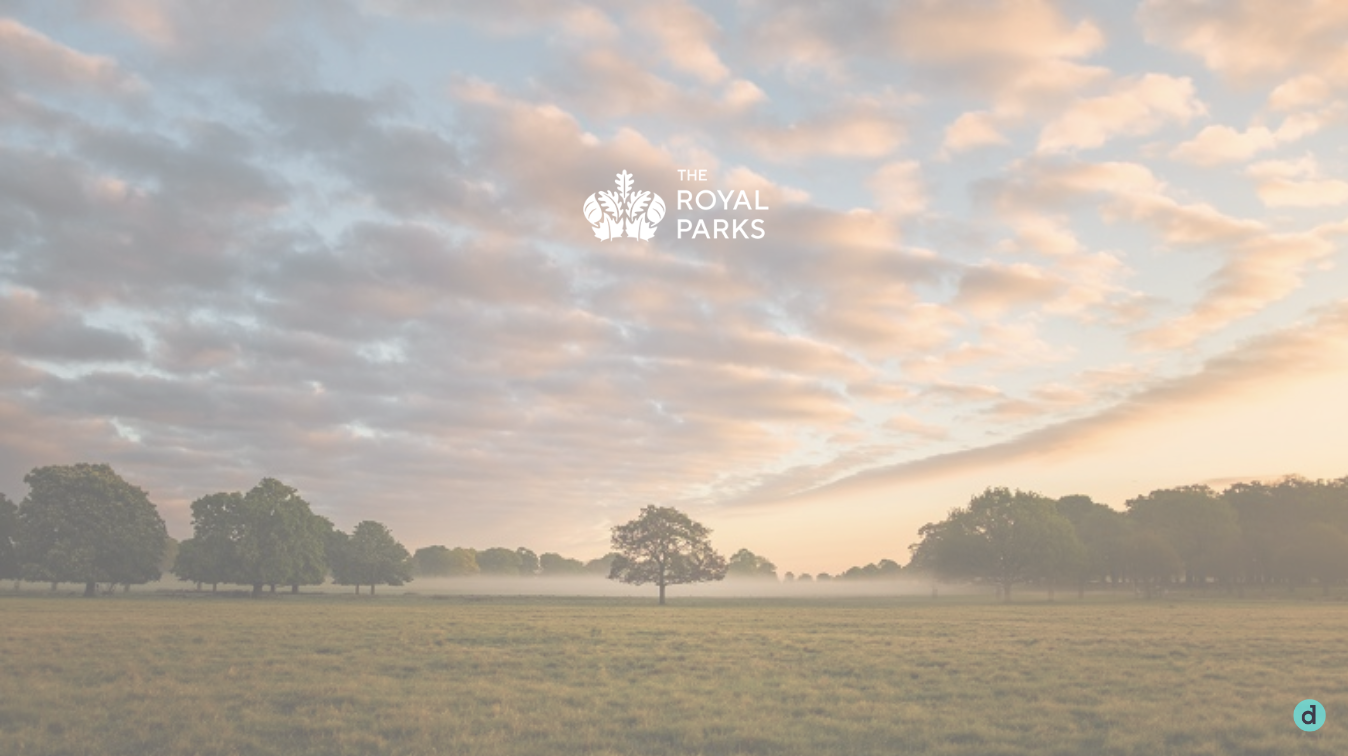 How we helped The Royal Parks inspire children and adults to promote biodiversity