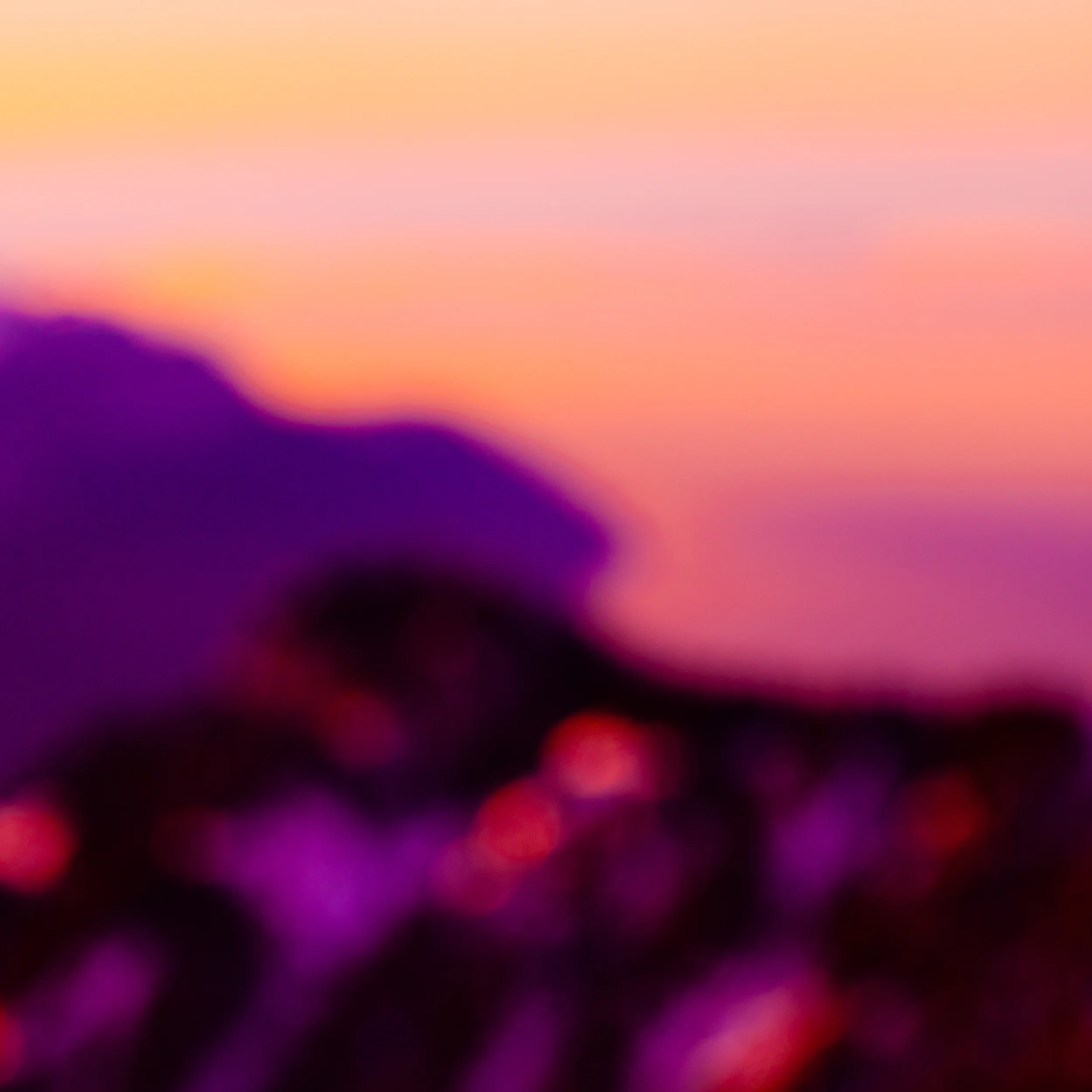 Geneva Plume: Violet, Number 2