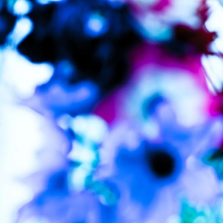 Flora - Blue