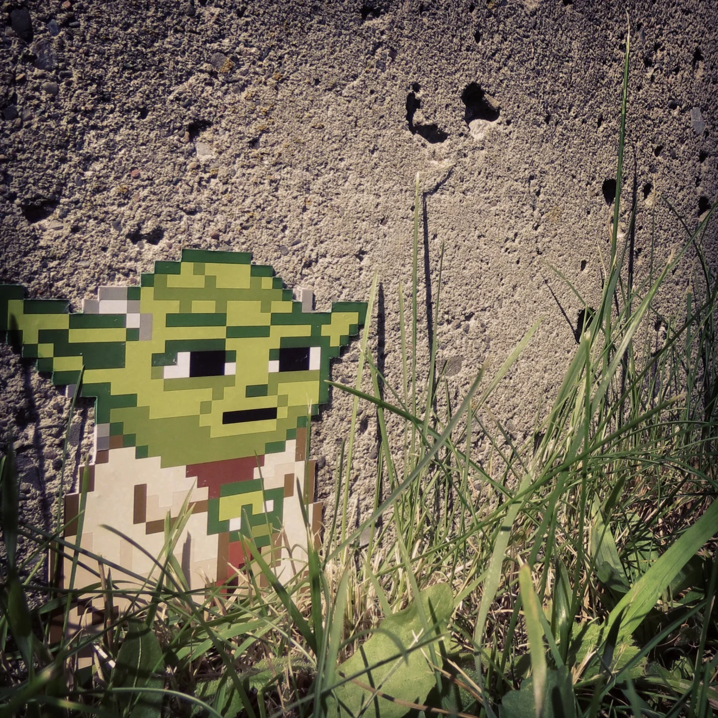 yoda.jpg