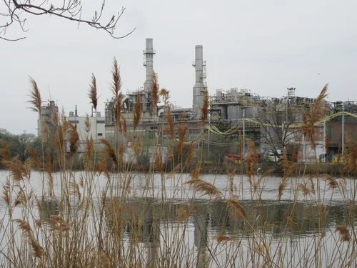 Wolf Lake Industry.jpg