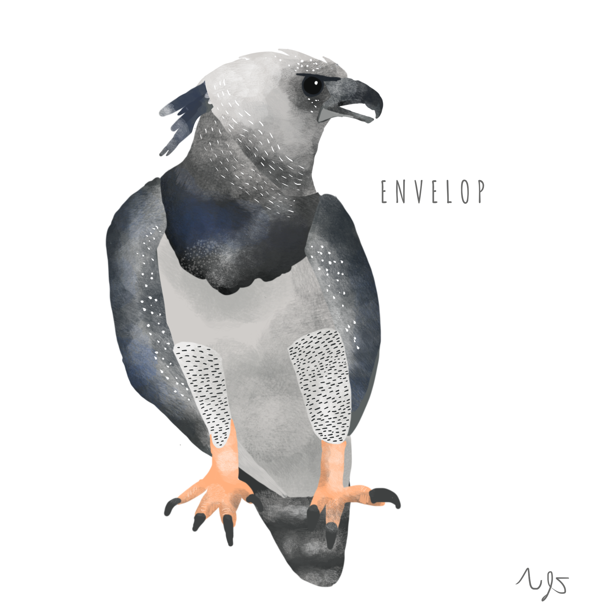 e.png