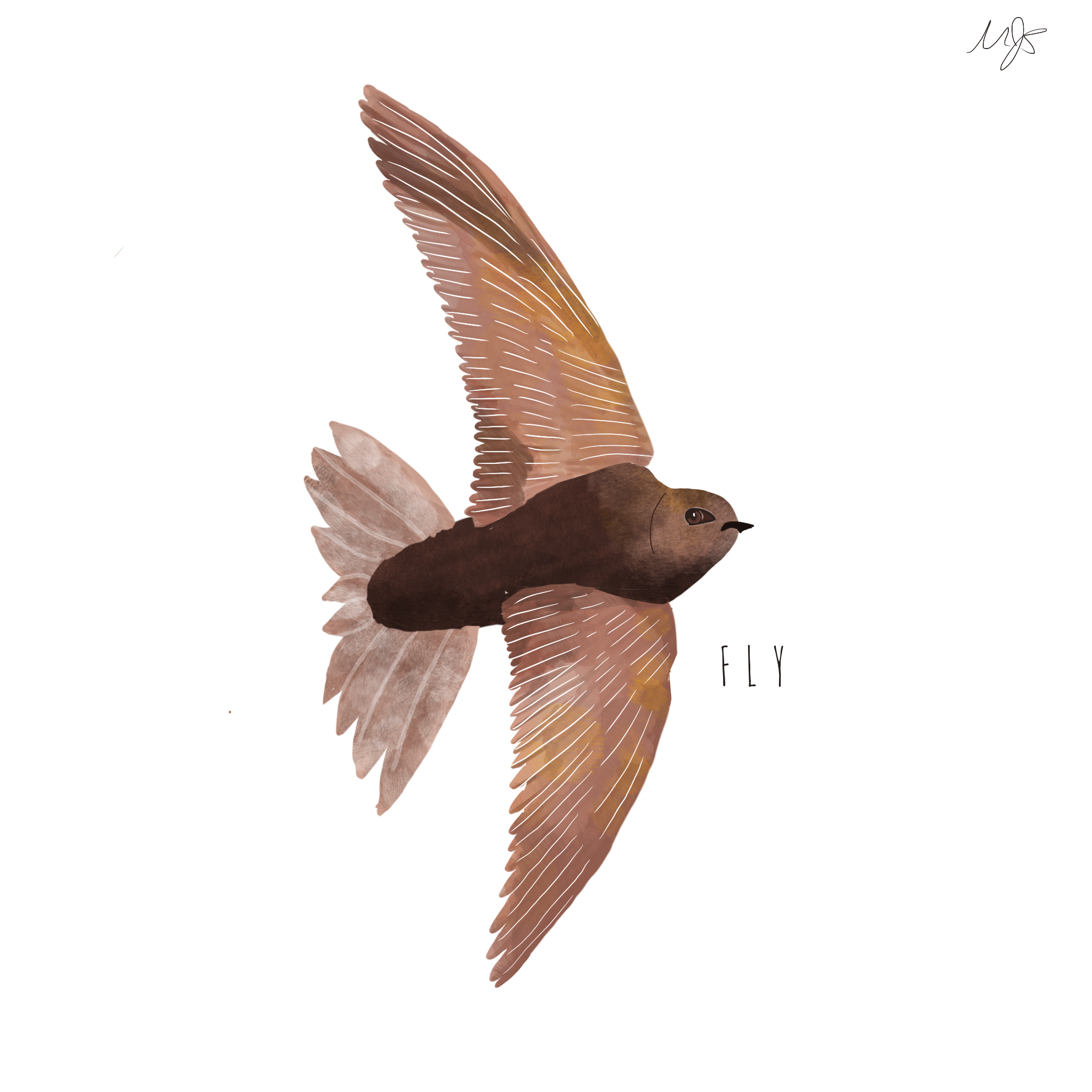f.png