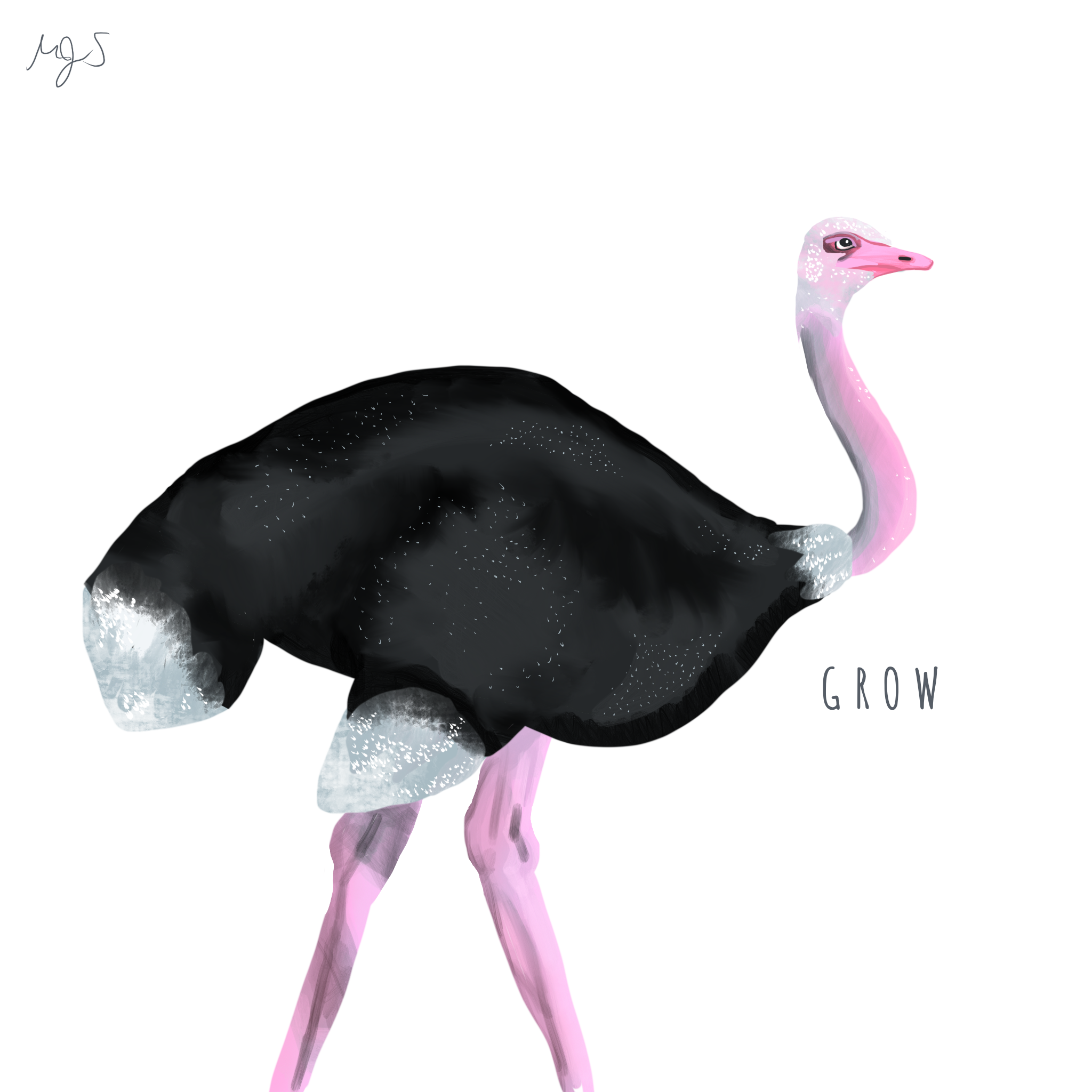 g.png