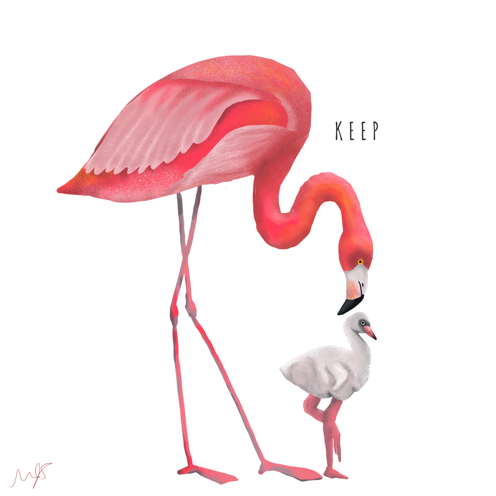 k.png