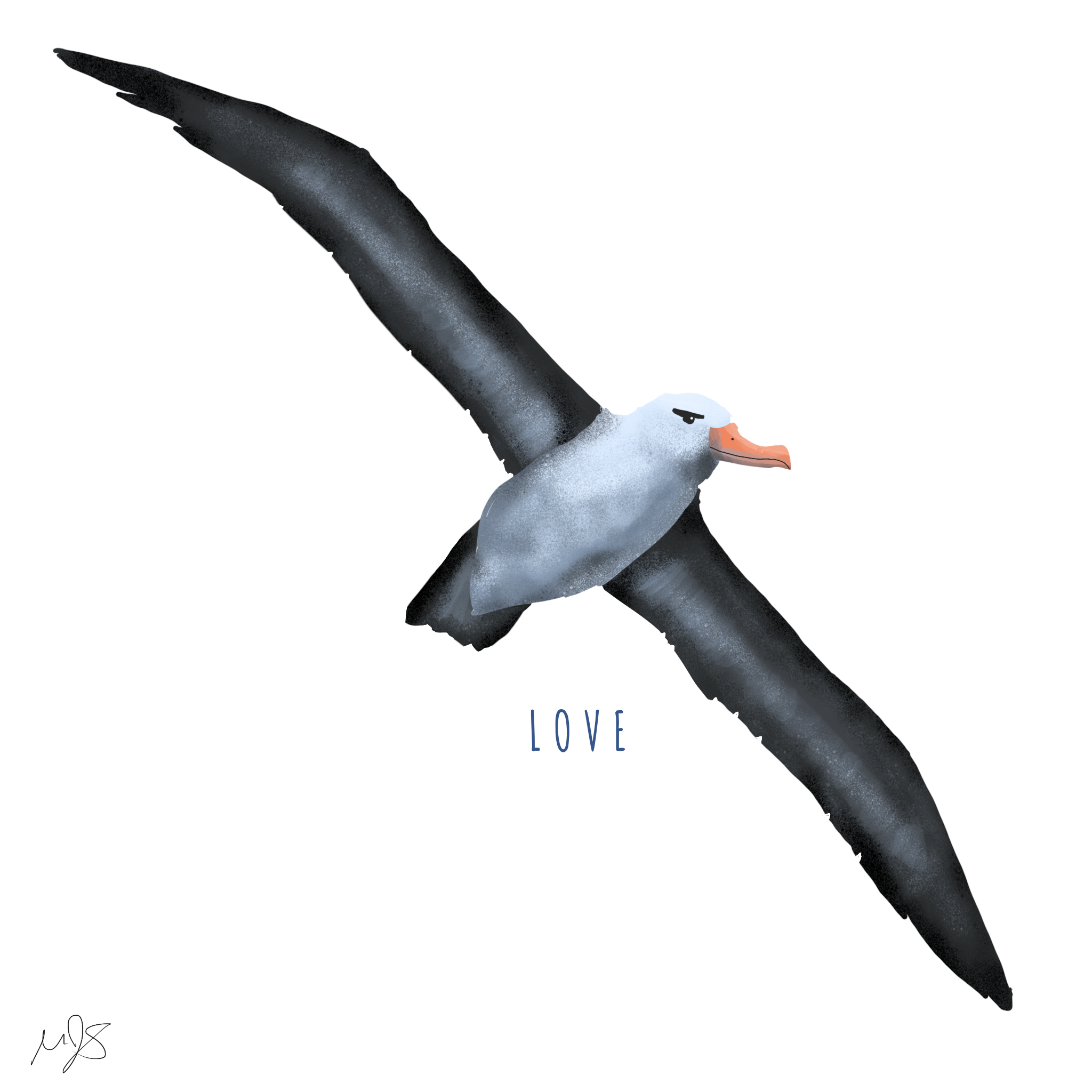 l.png
