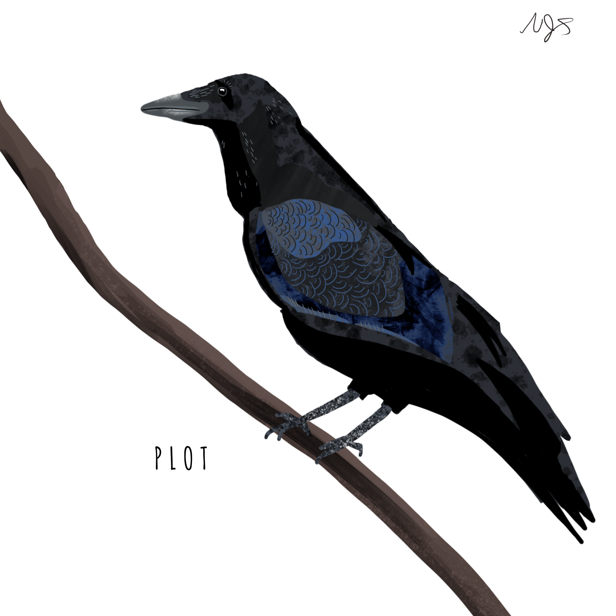 p.png