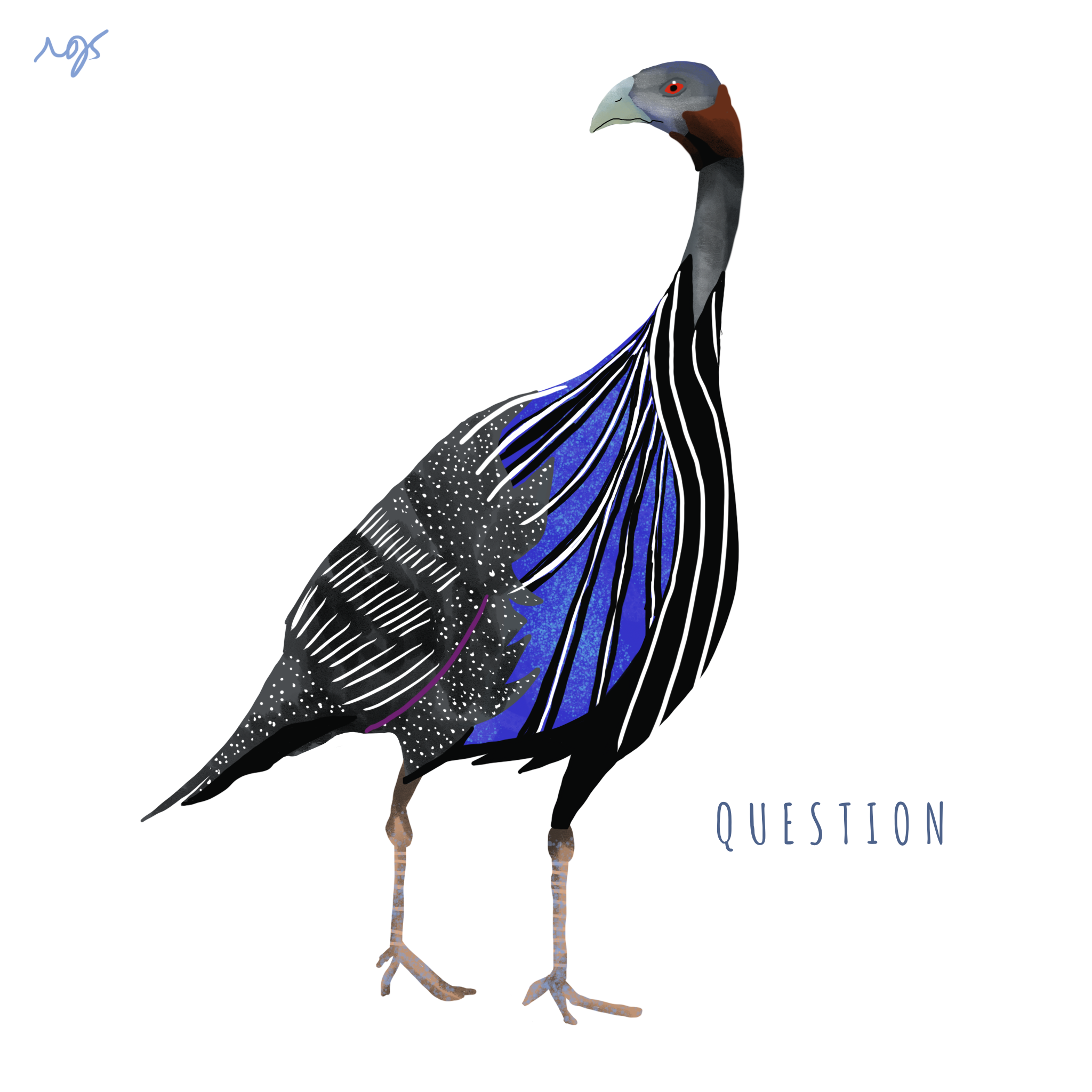 q.png