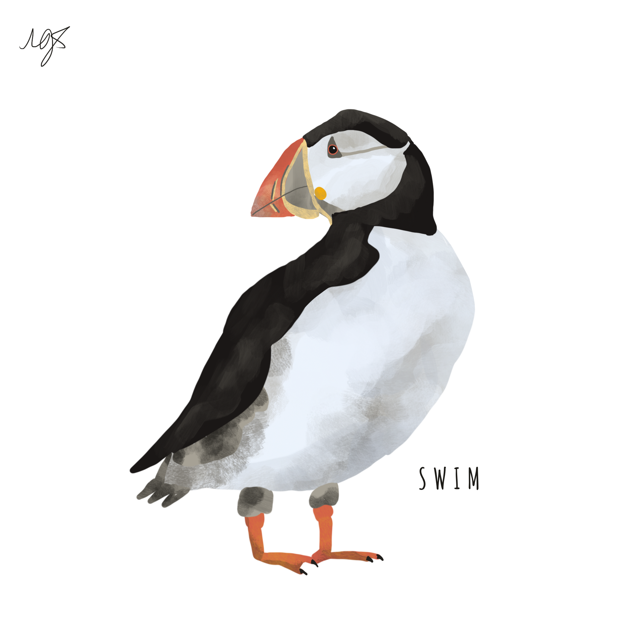 s.png