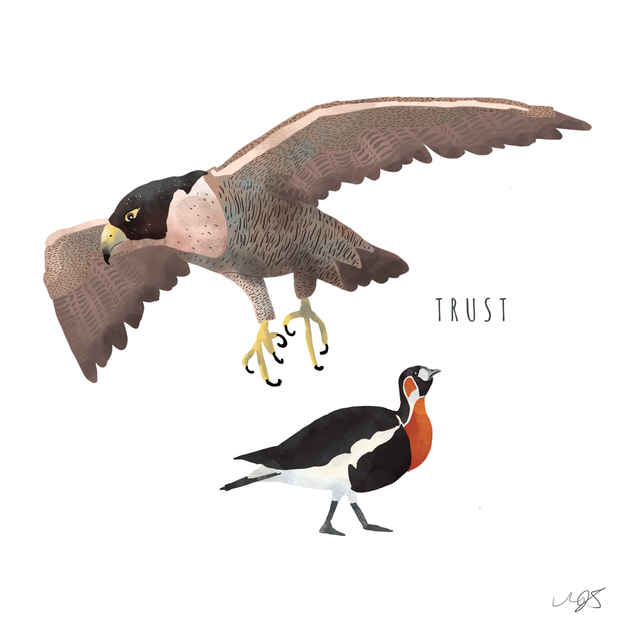 t.png