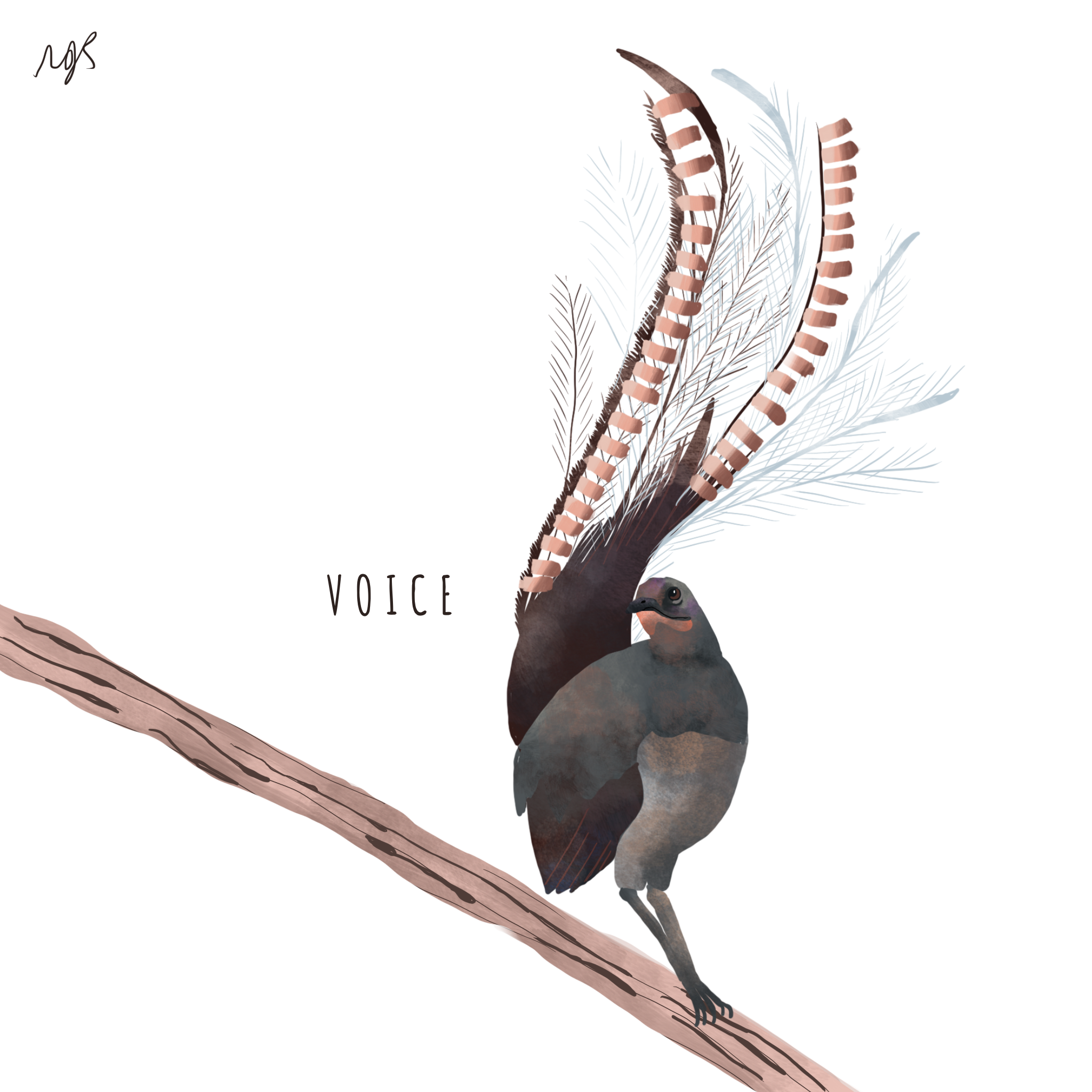 v.png