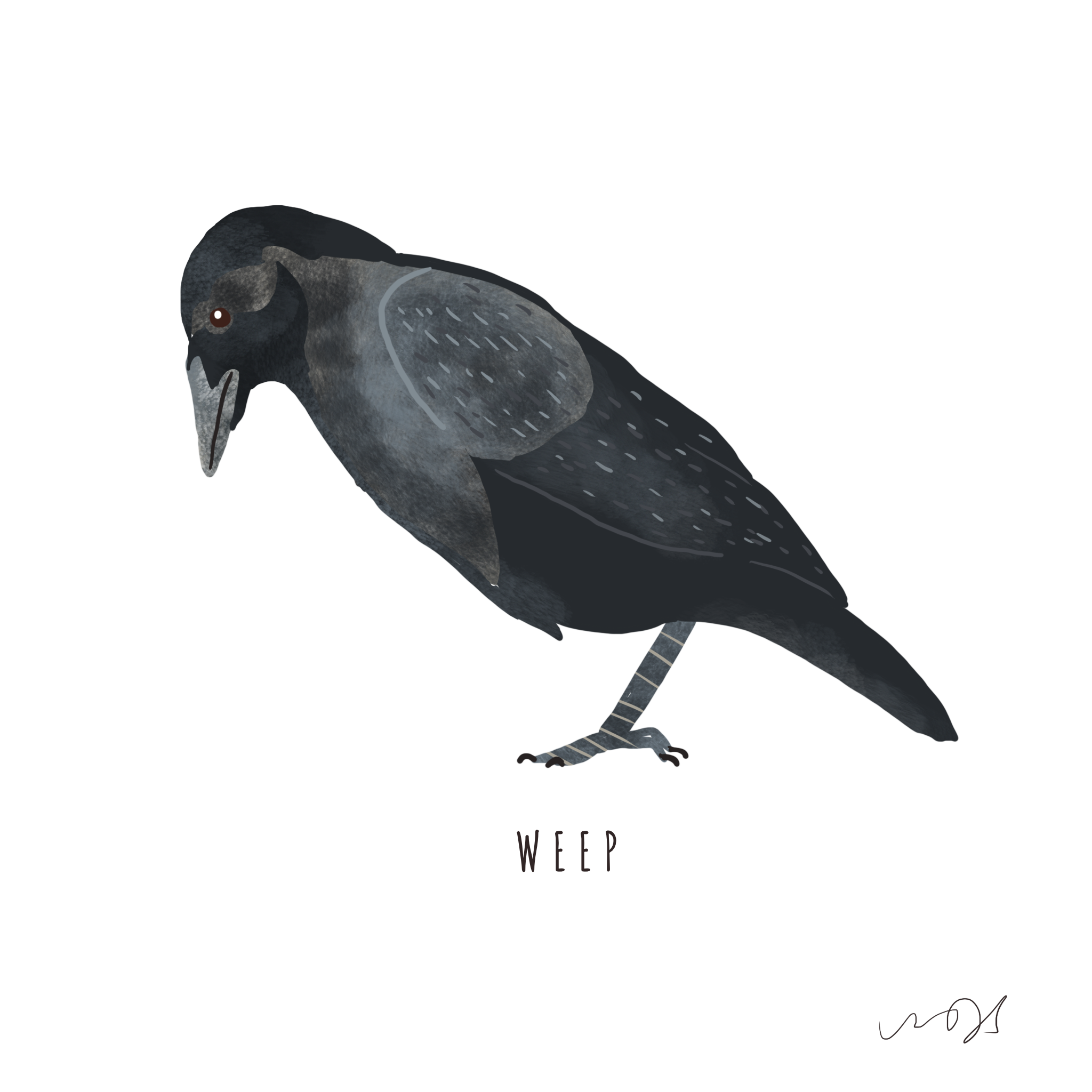 w.png