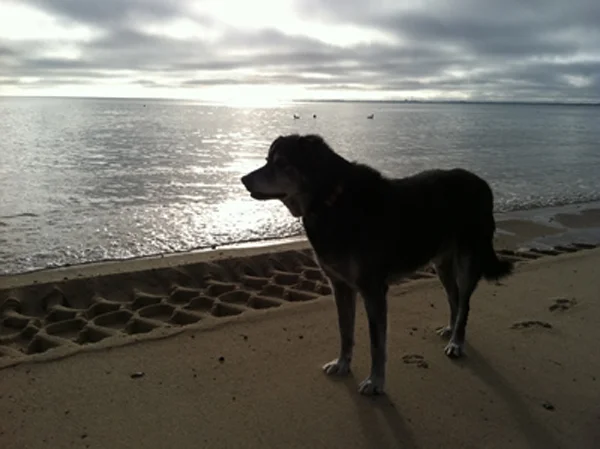 At Sunset May 2011