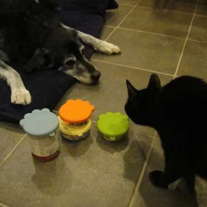 Pet food can covers Nov 2012.jpg