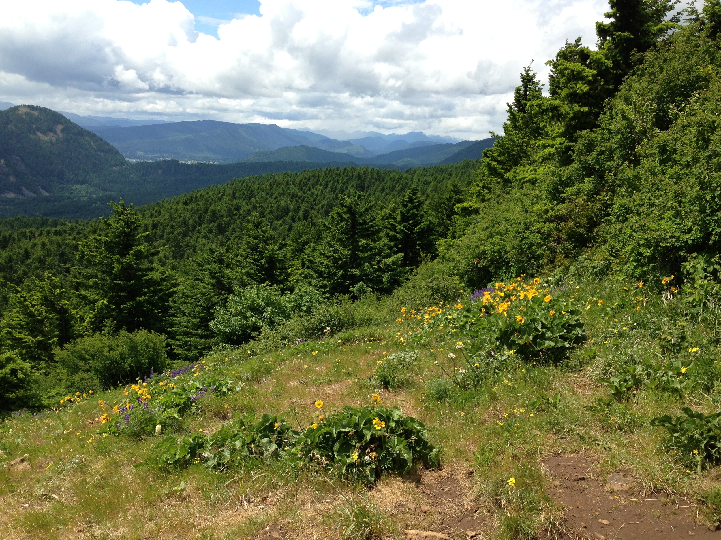 2013-05-30 14.08.55.jpg