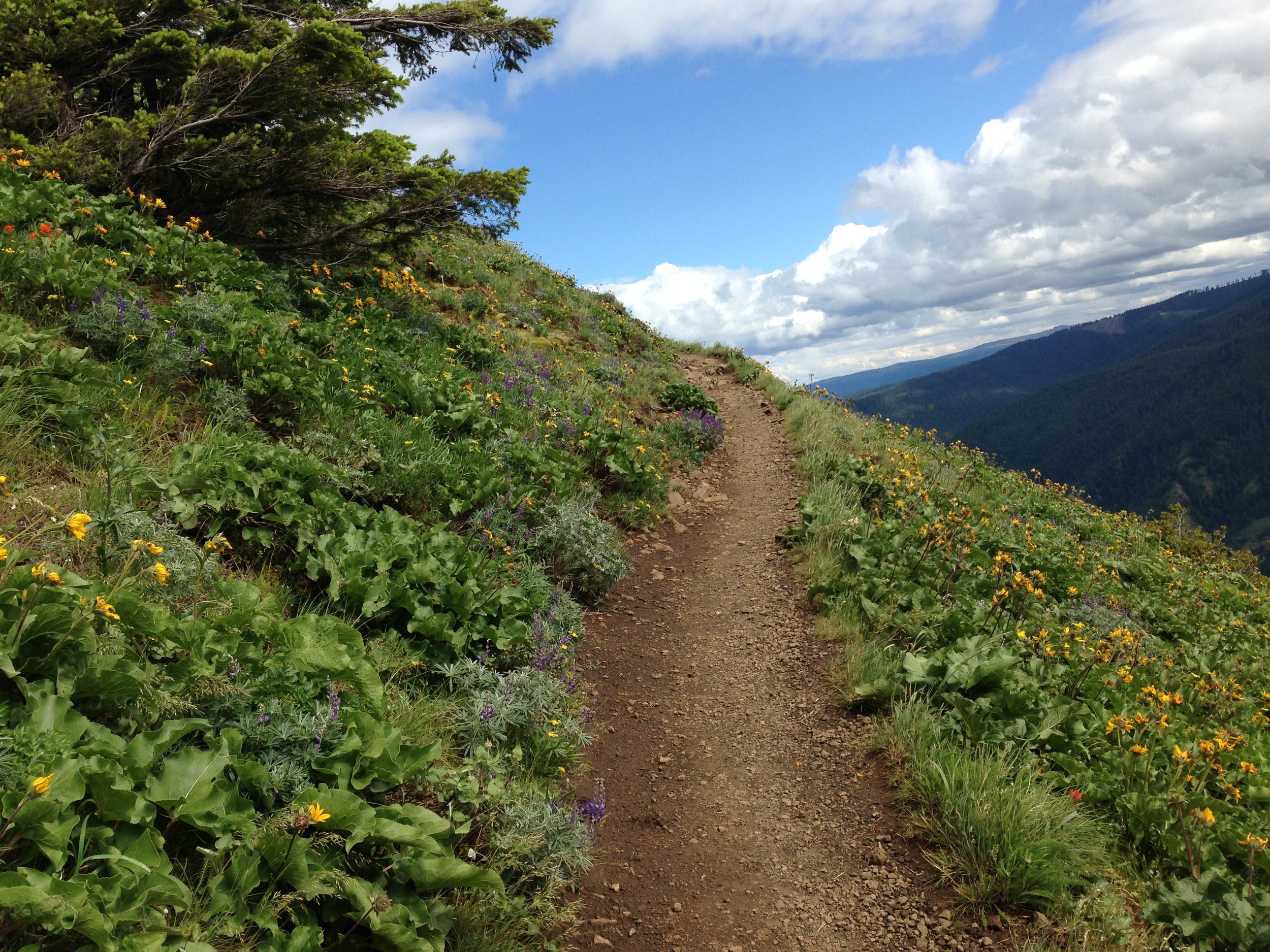 2013-05-30 15.39.34.jpg