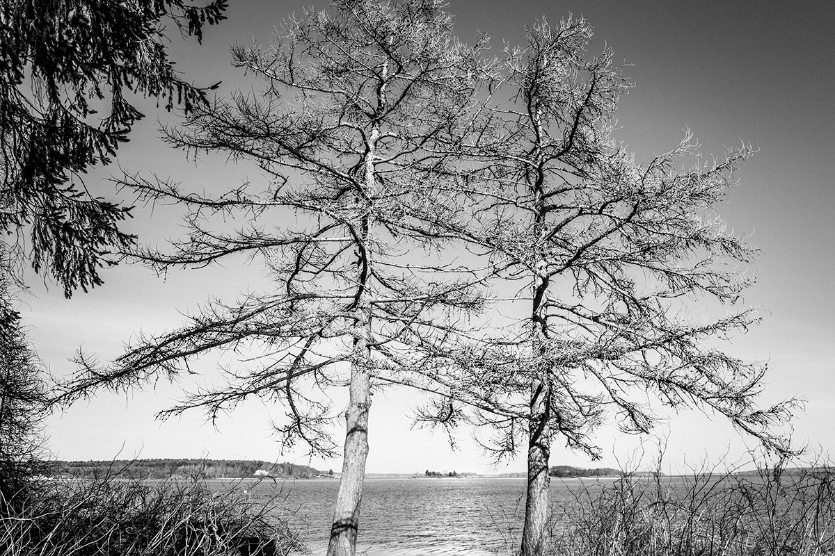 Mackworth Island-Maine