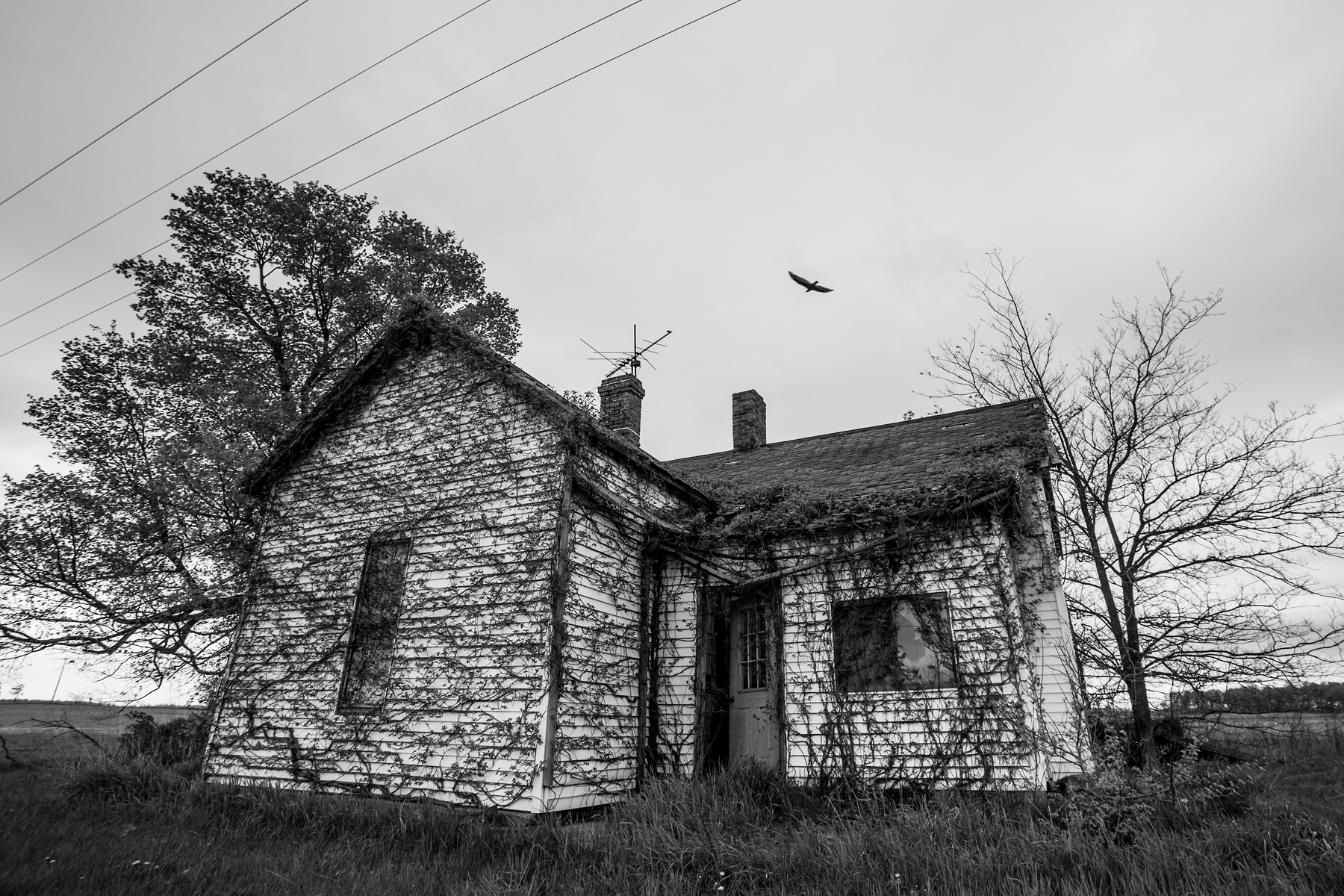 New Lexington-Ohio