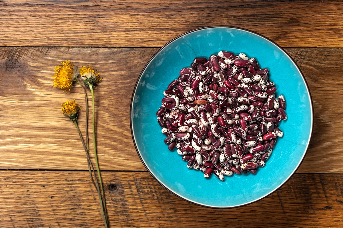 Jacob's Cattle Beans