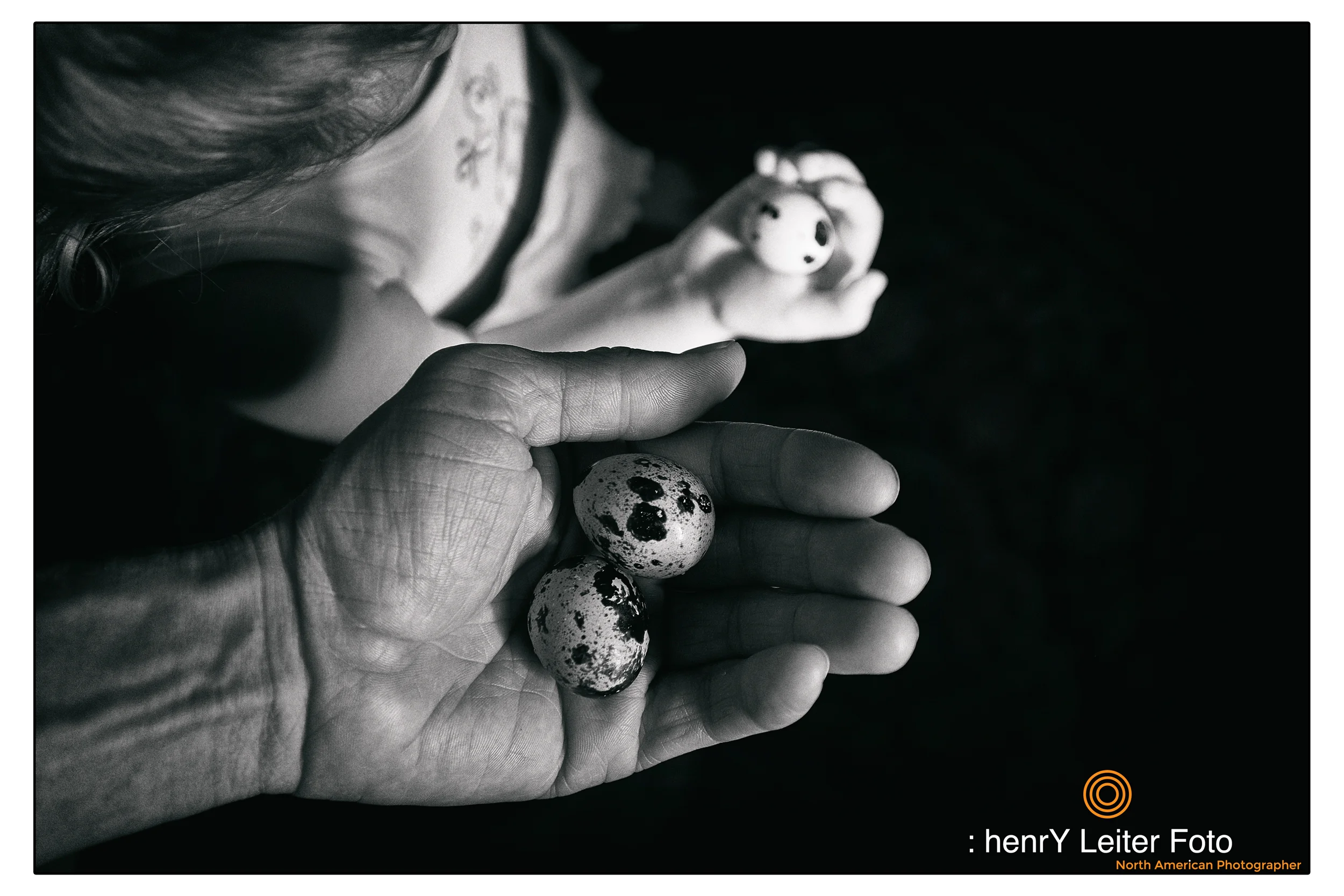 Quail Eggs