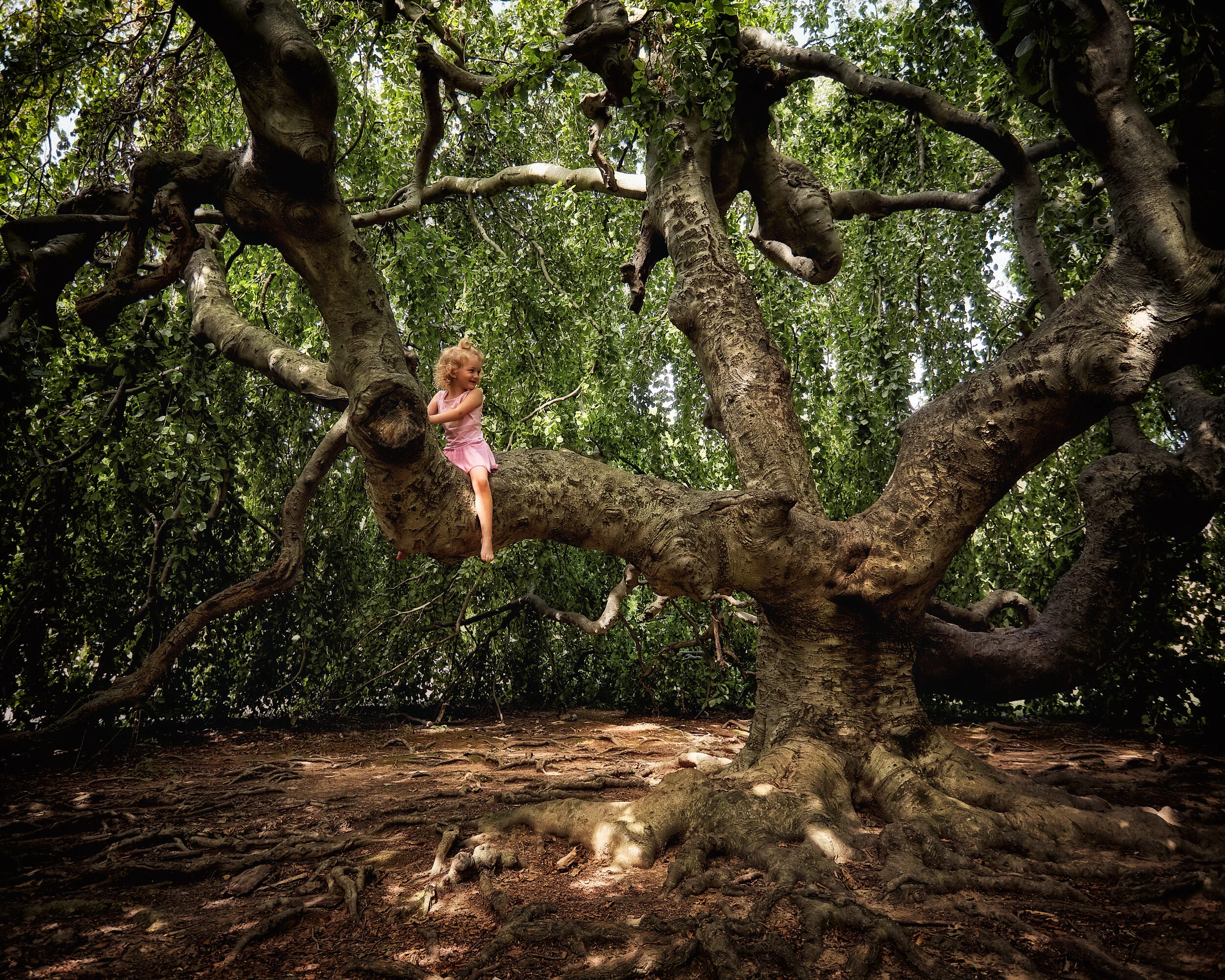 HFW_190811_PER_Upside-down-tree_023.jpg