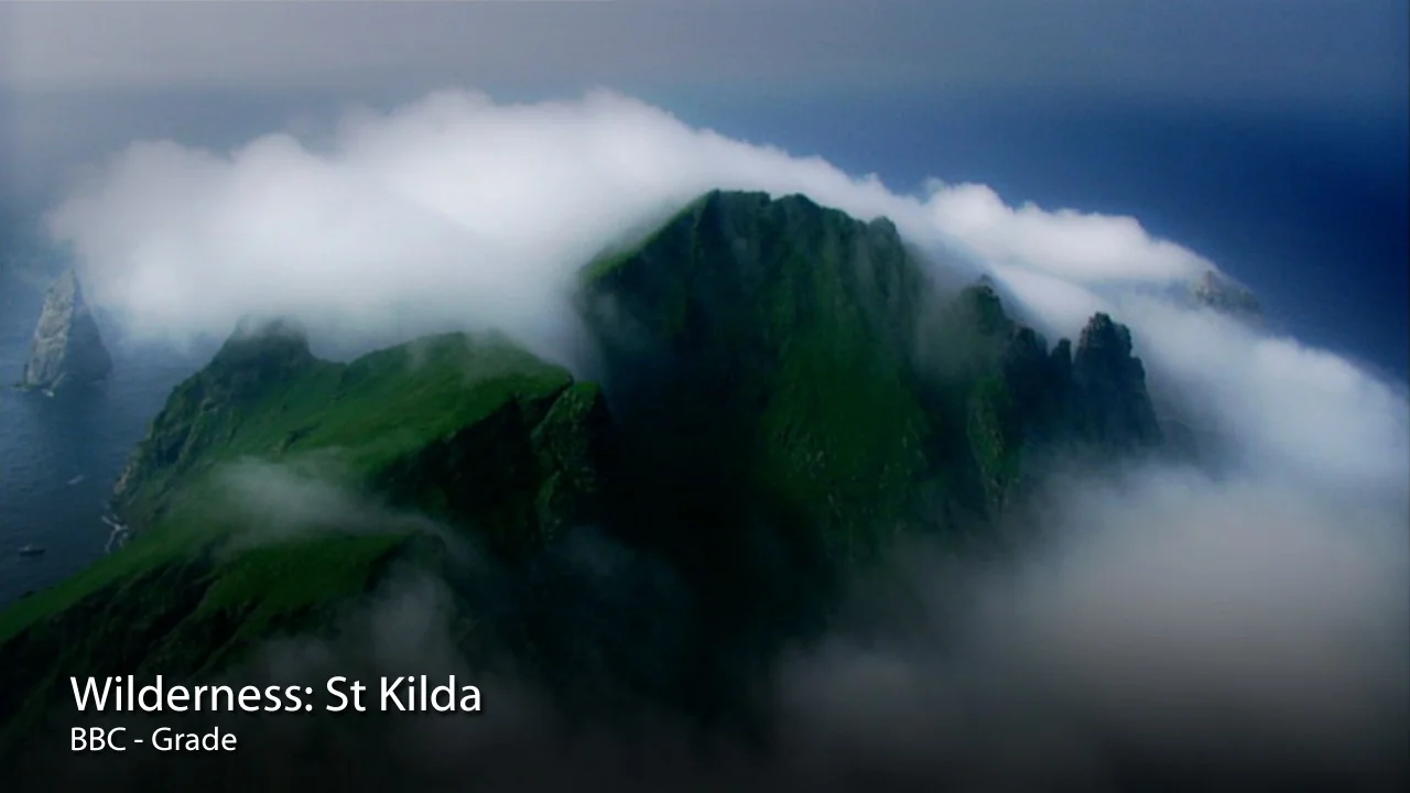 Wilderness St Kilda.jpg