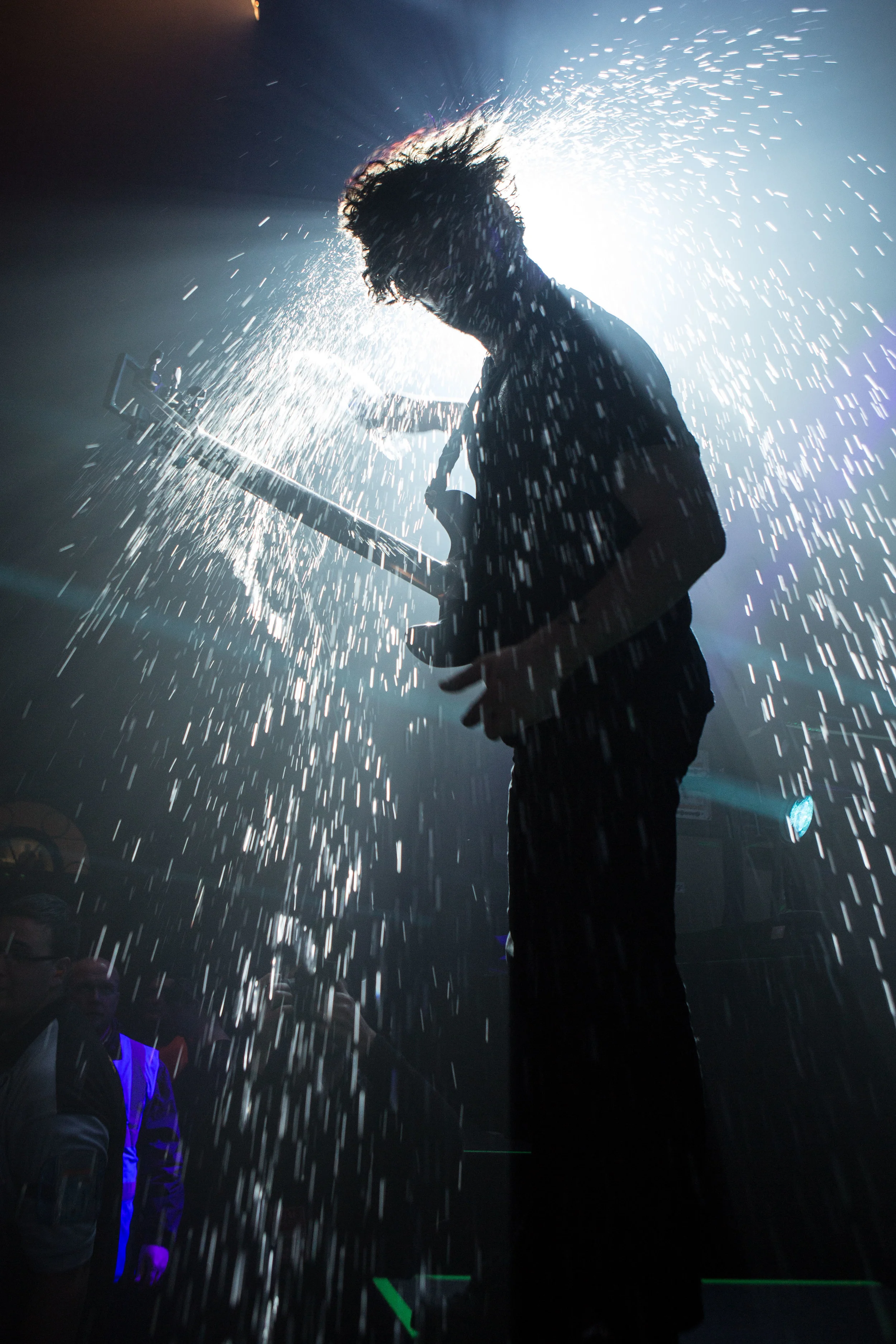 Foals
