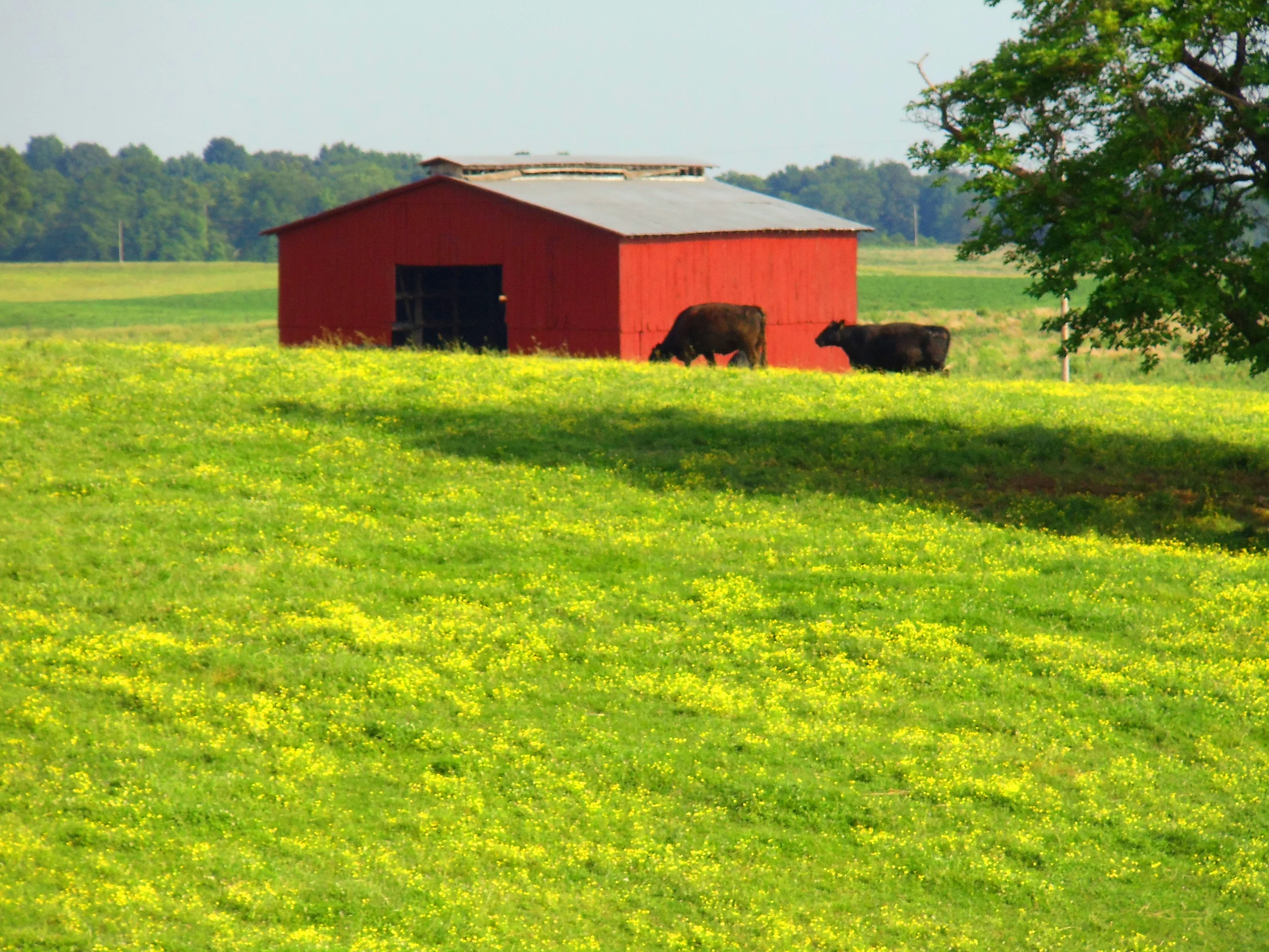 Somewhere In Kentucky