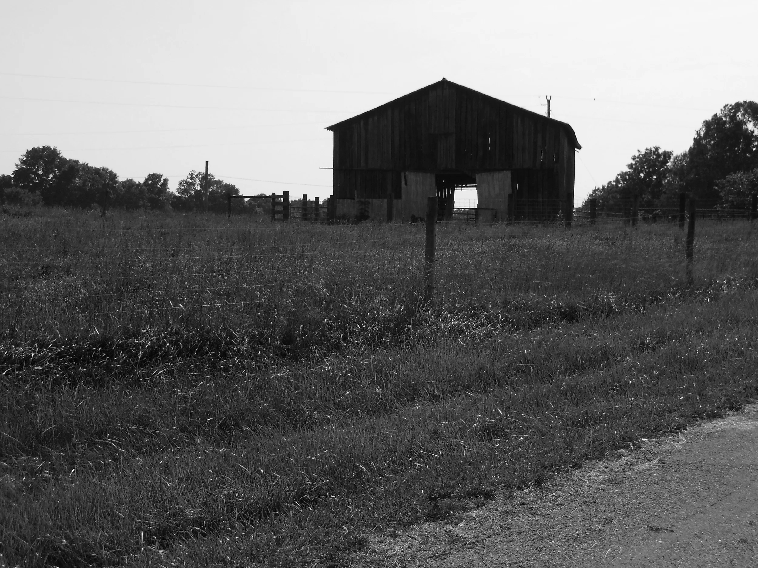 Somewhere In Kentucky 2