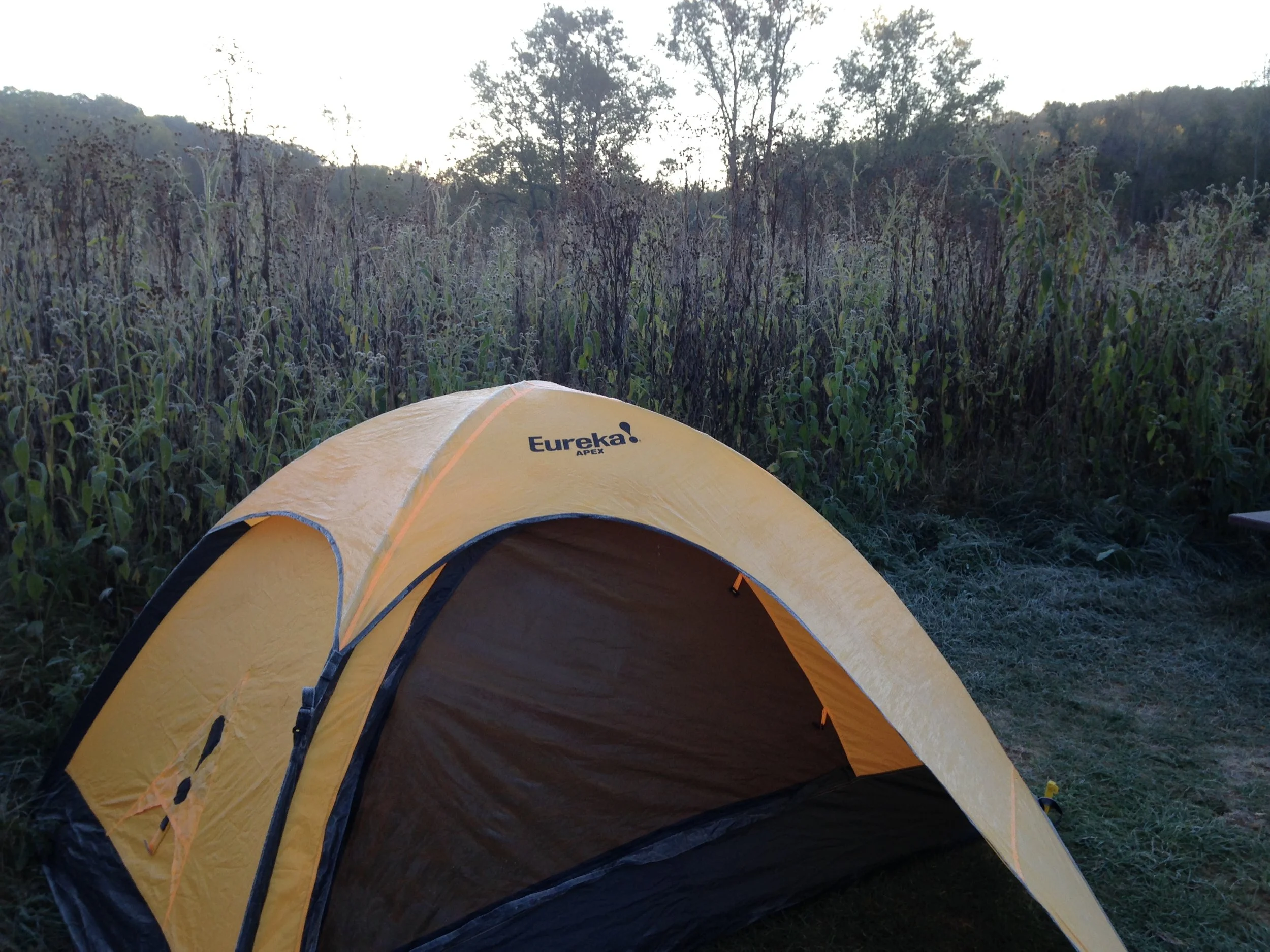 Yeah that's frost on the tent