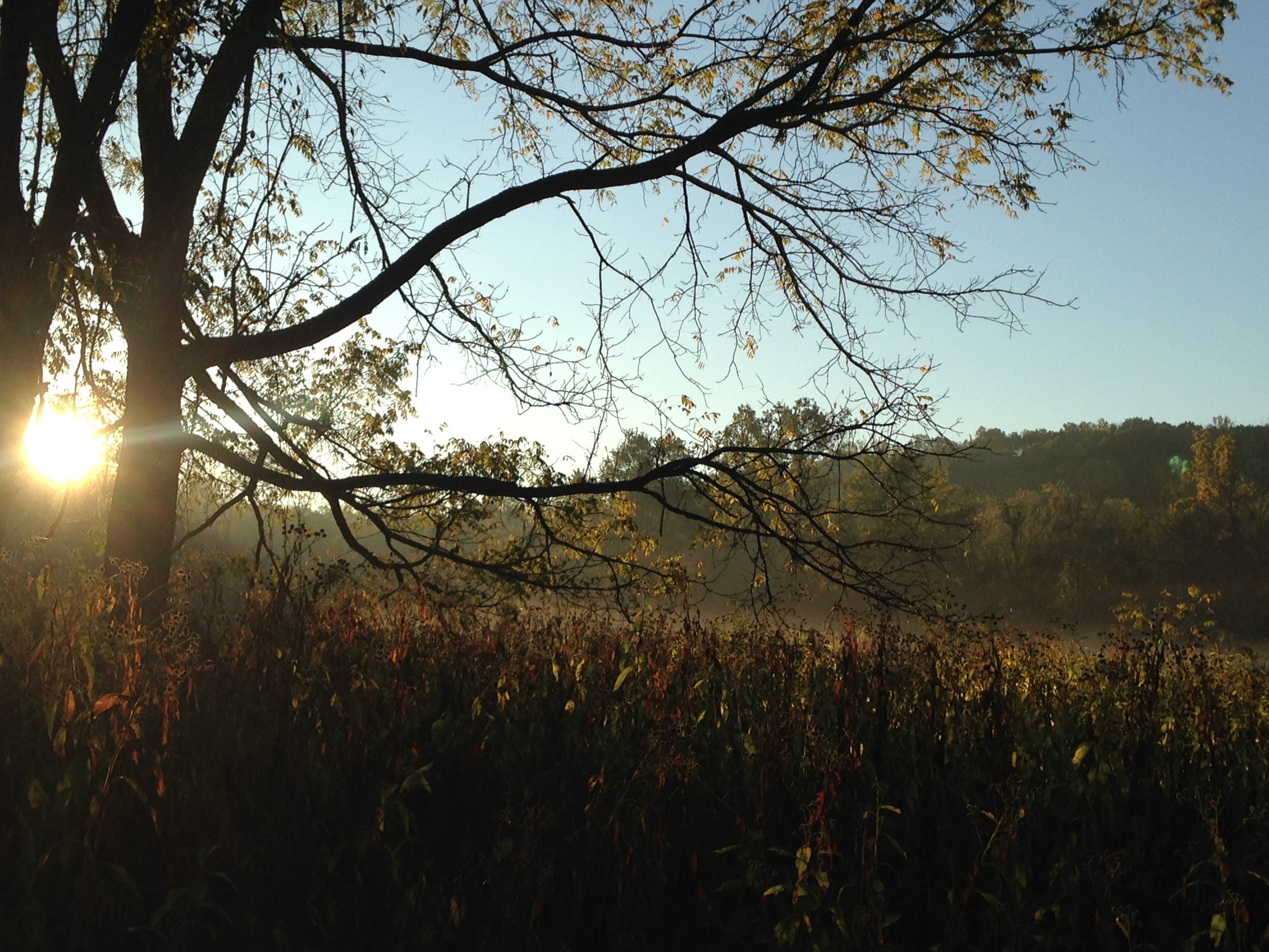 Sunrise In The Valley