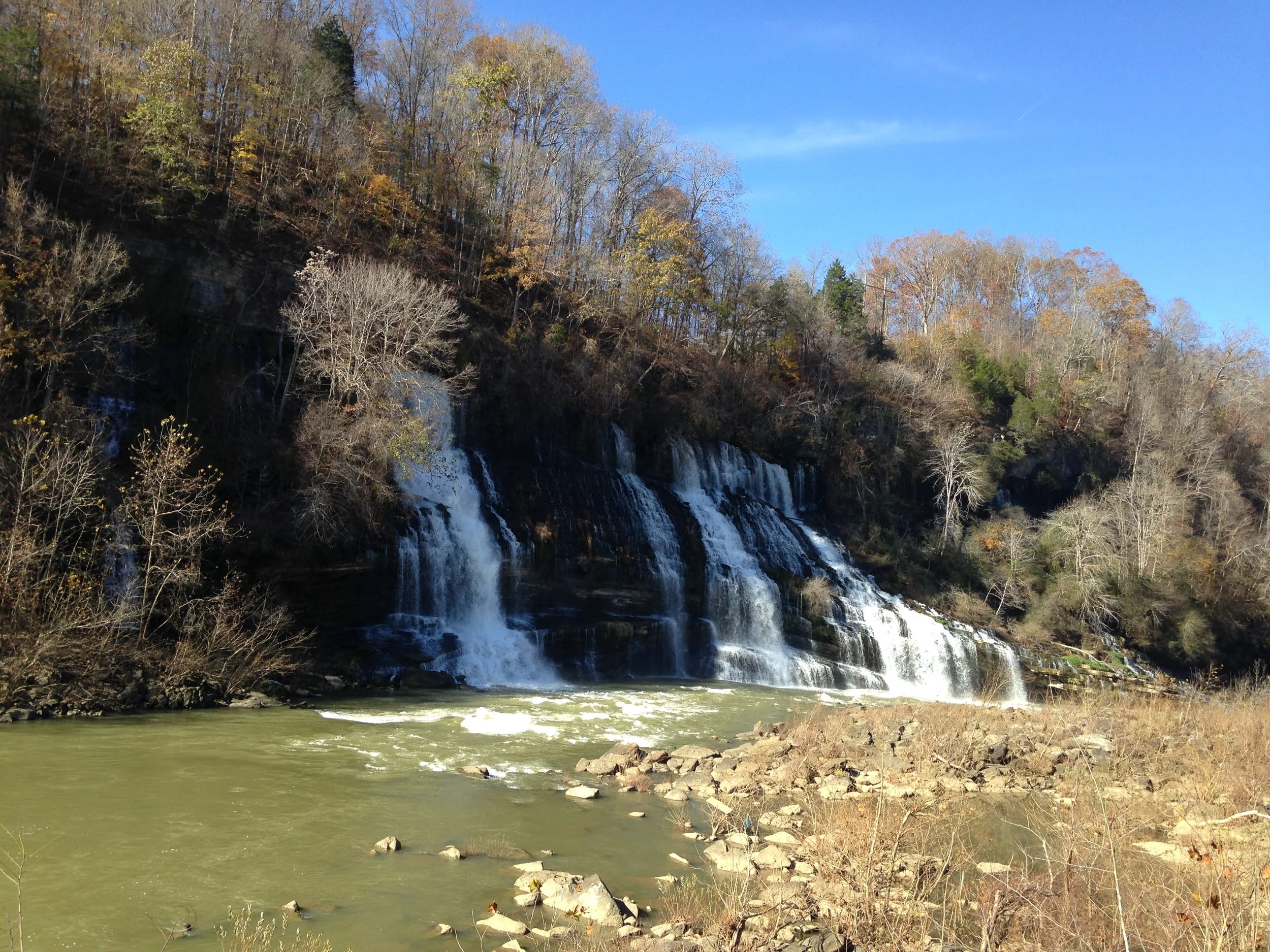 Creation In Action 1