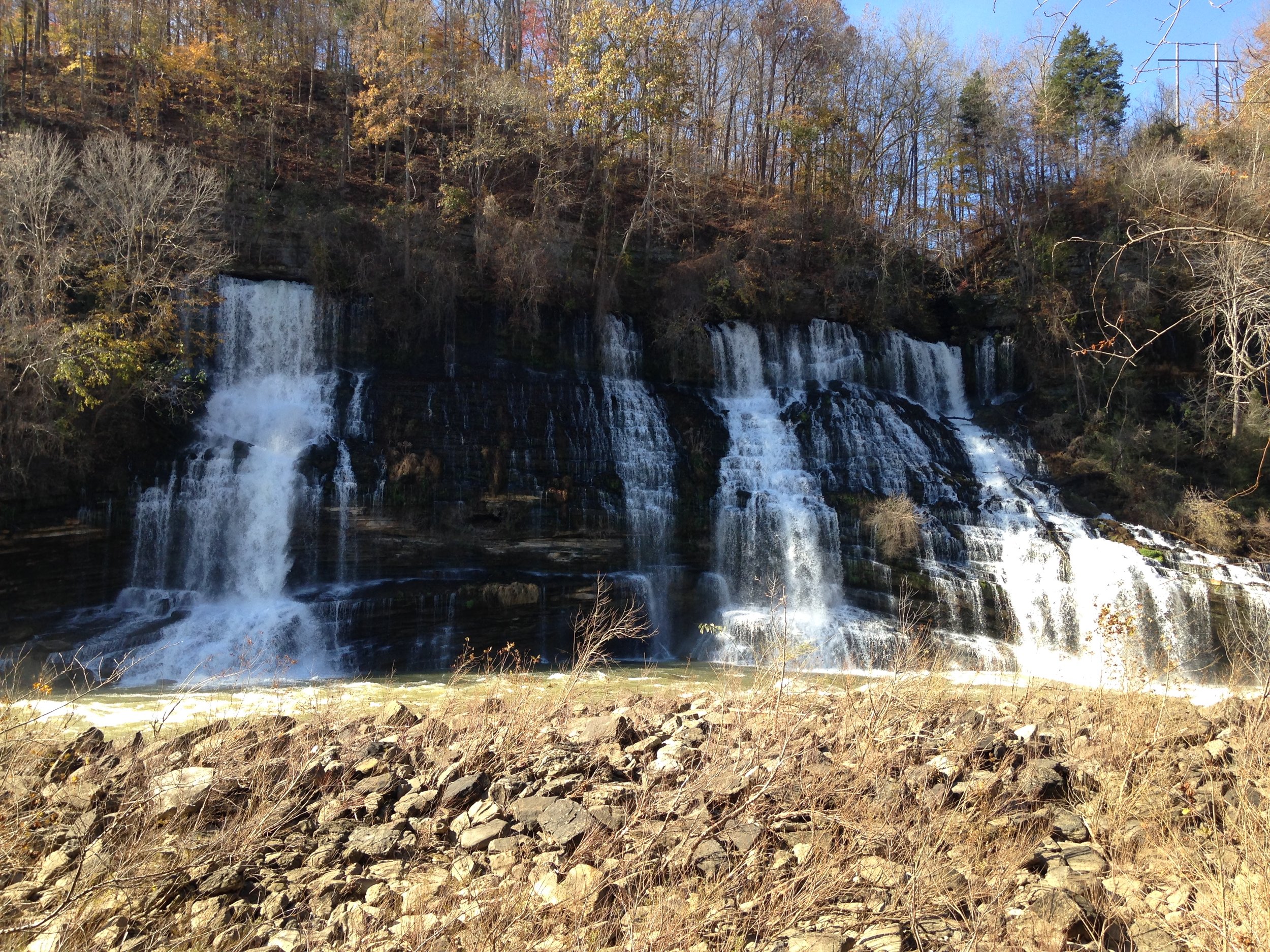 Creation In Action 2