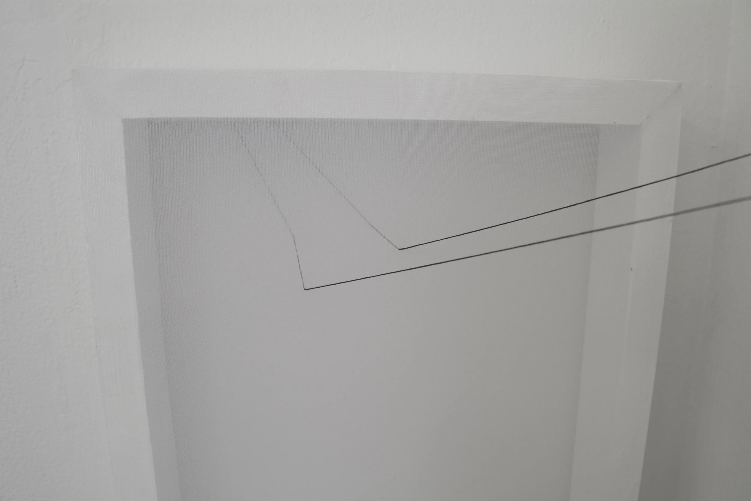 DSC_0219.jpg