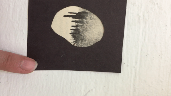 ezgif.com-video-to-gif (2).gif