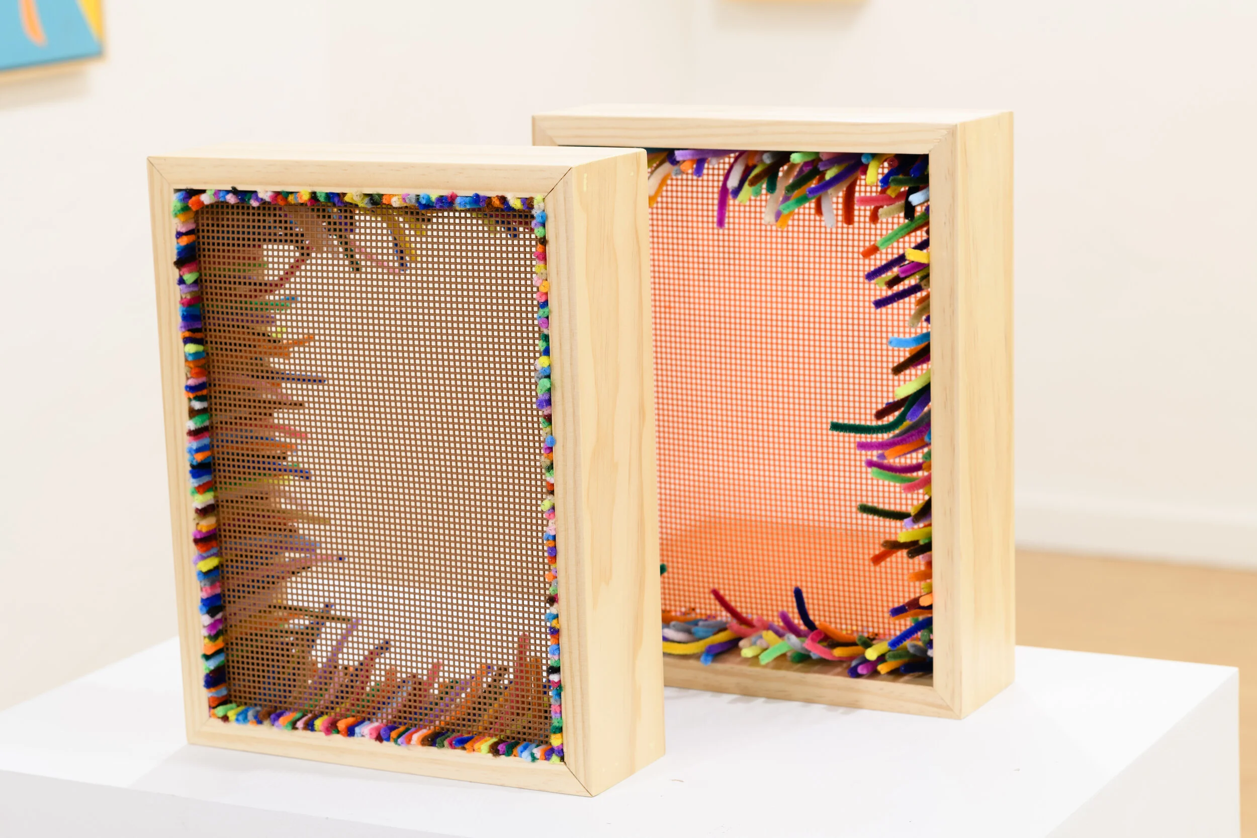 CDCP Extra Fiber - 016.jpg